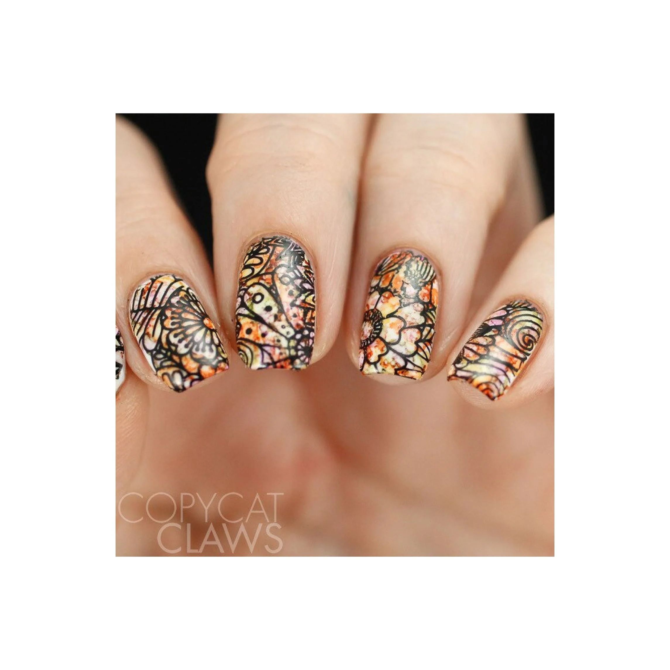 Collection 14 - Image 18
