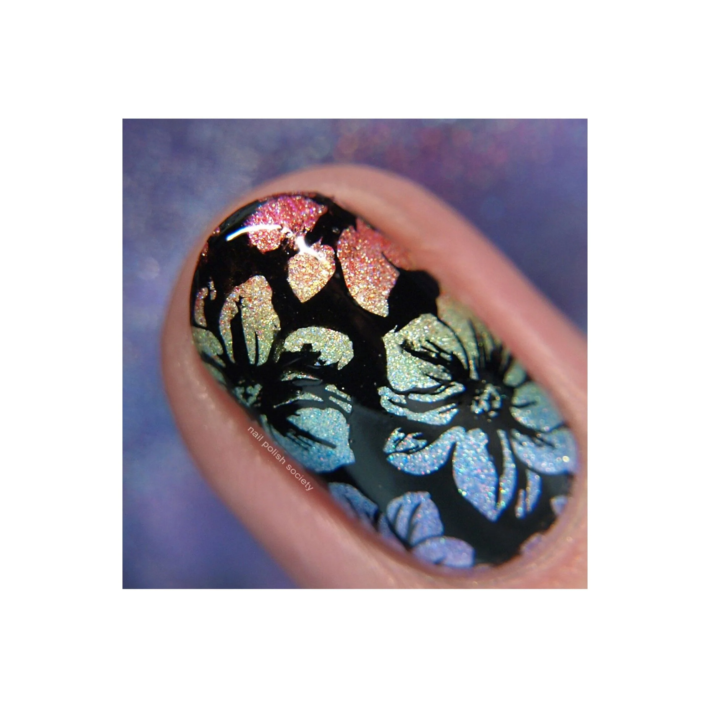 Collection 15 - Image 8