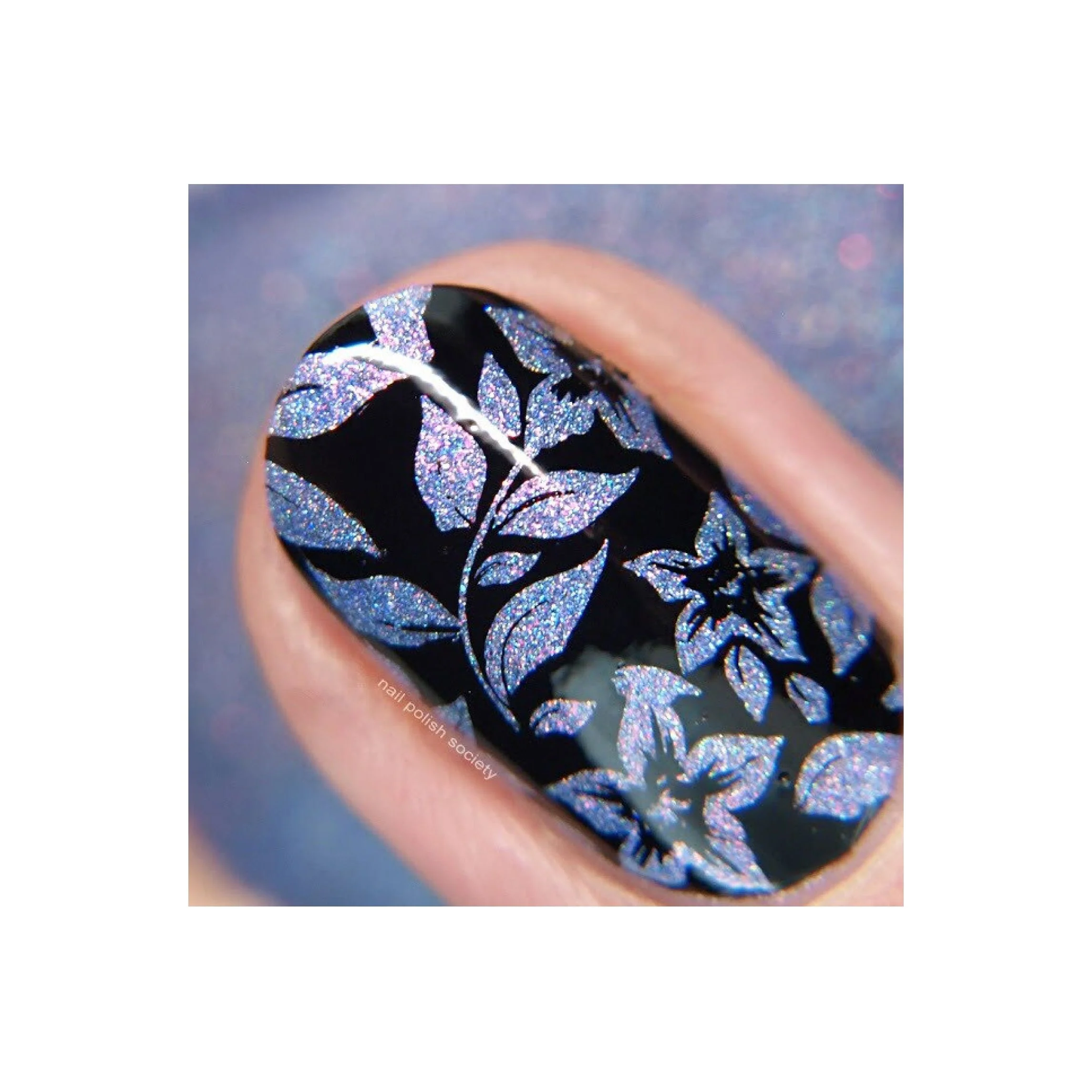 Collection 16 - Image 6