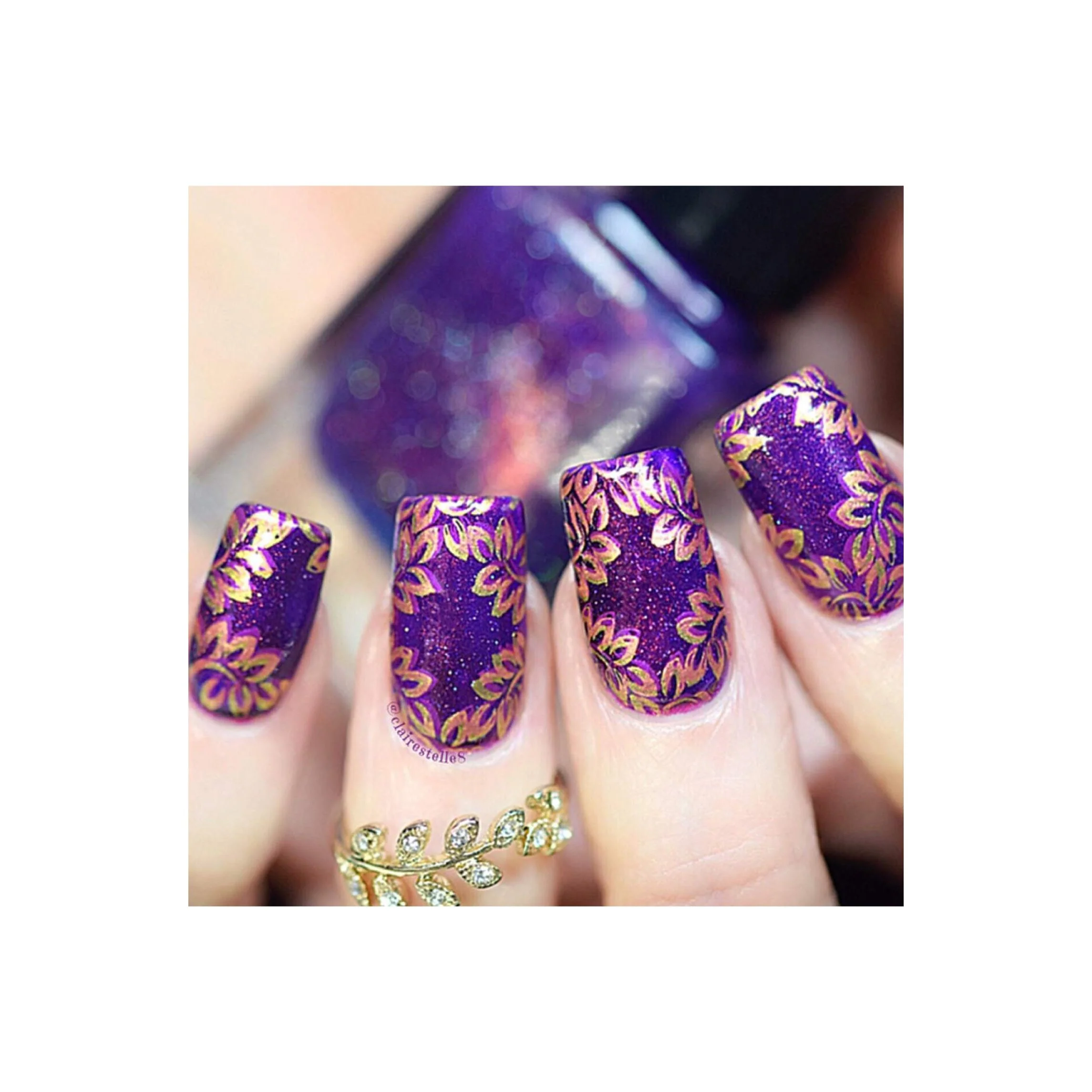 Collection 16 - Image 8