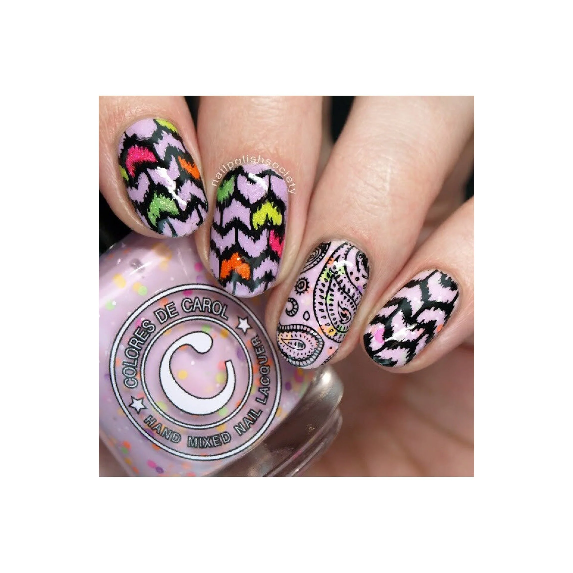 Collection 17 - Image 10