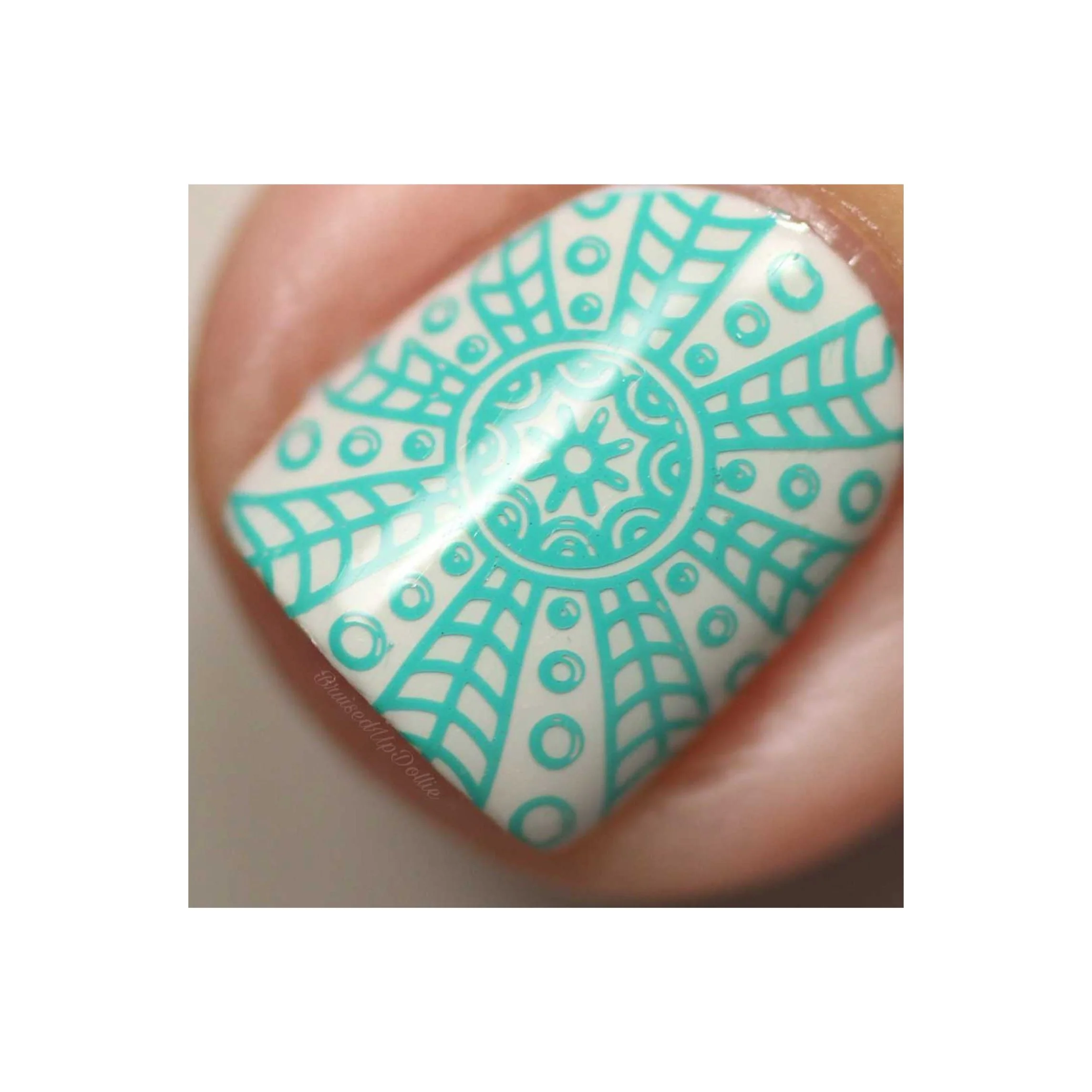 Collection 17 - Image 24