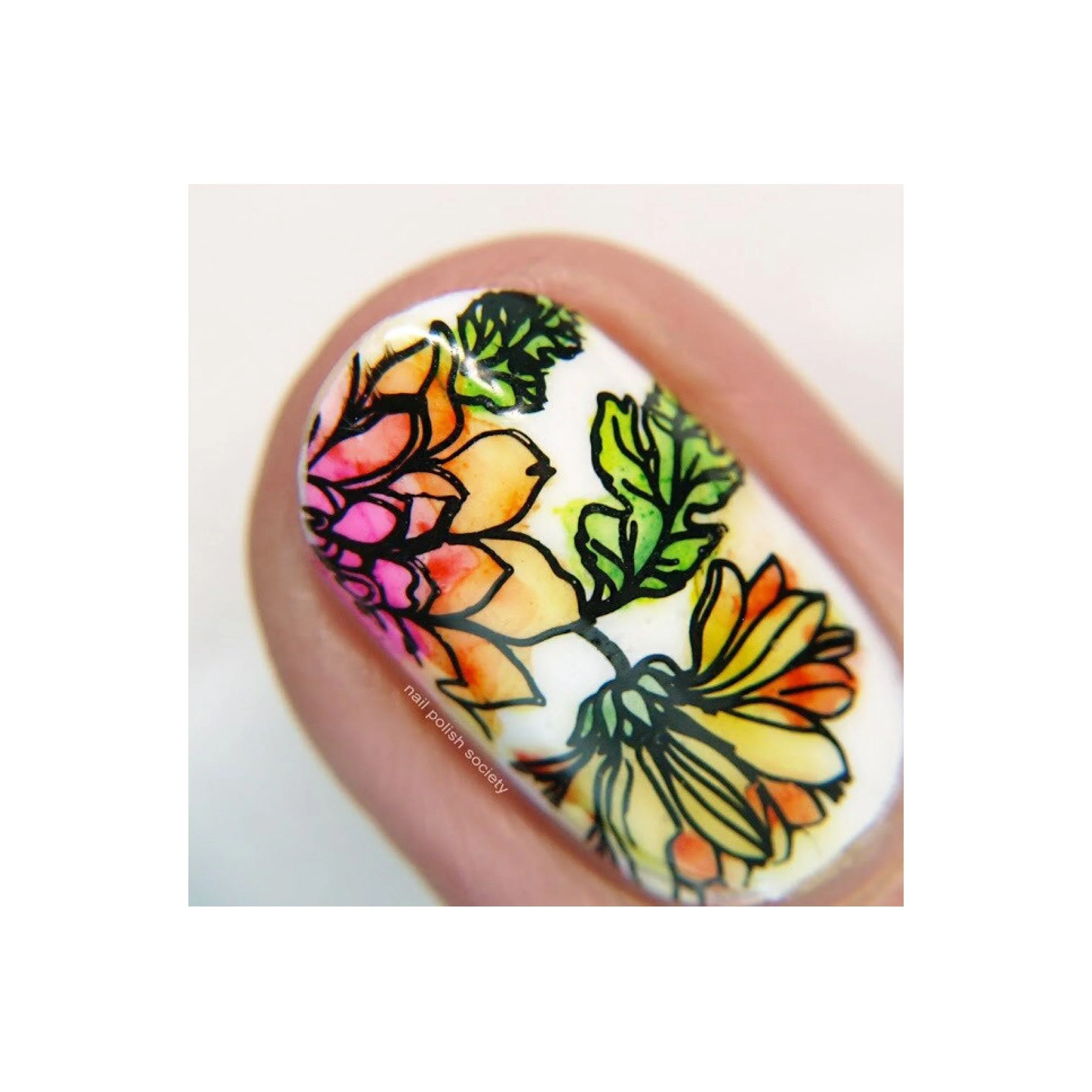 Collection 17 - Image 6