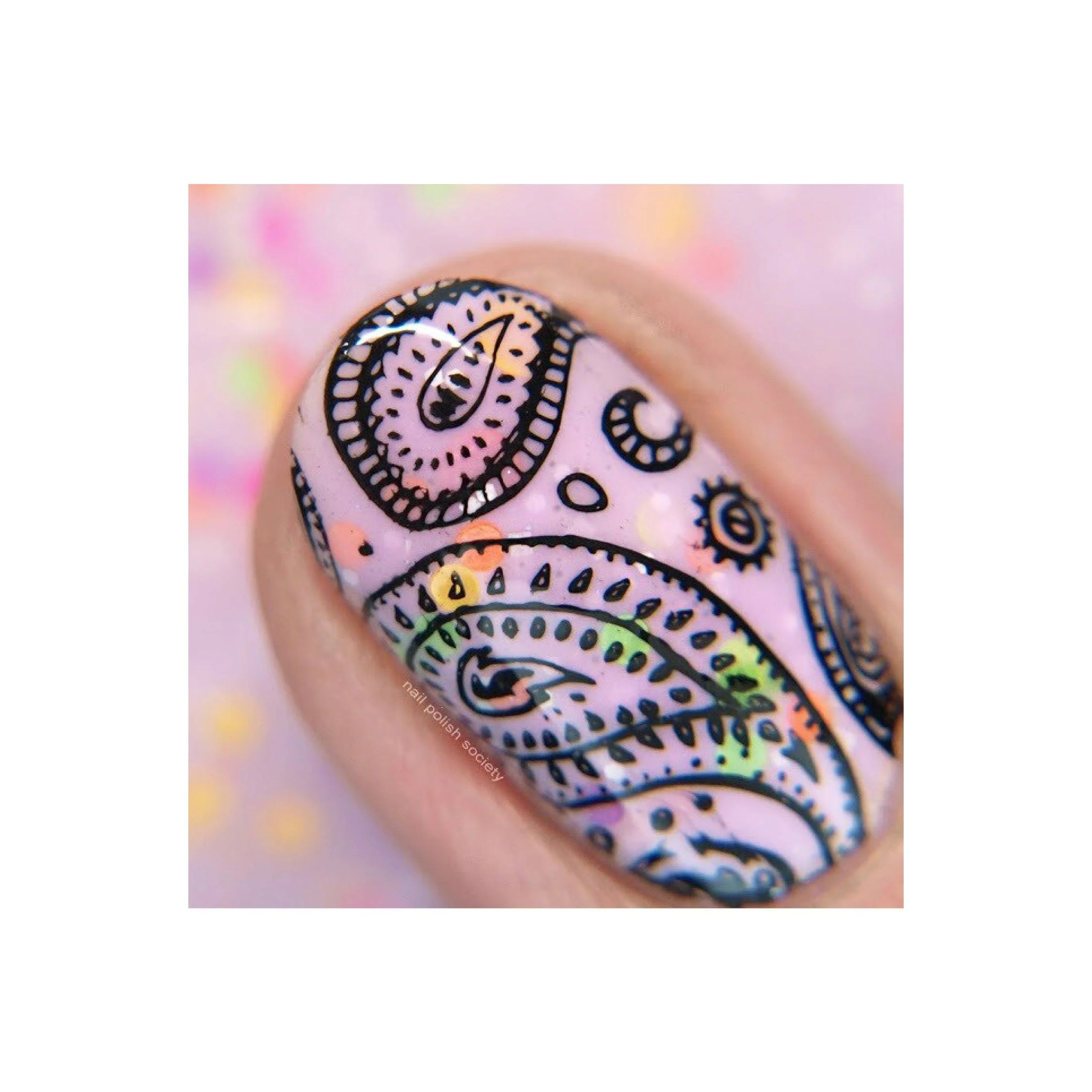 Collection 17 - Image 9