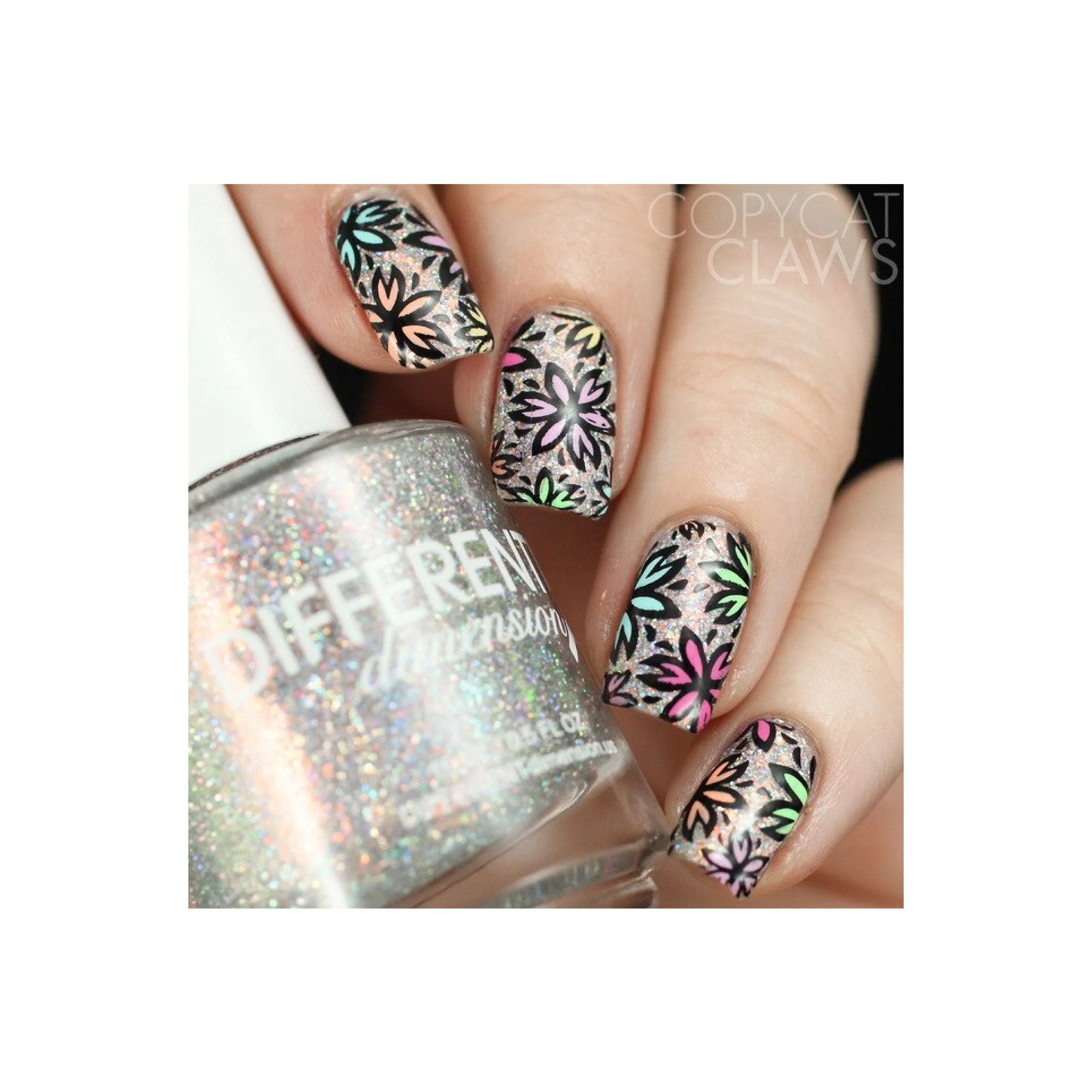 Collection 18 - Image 14