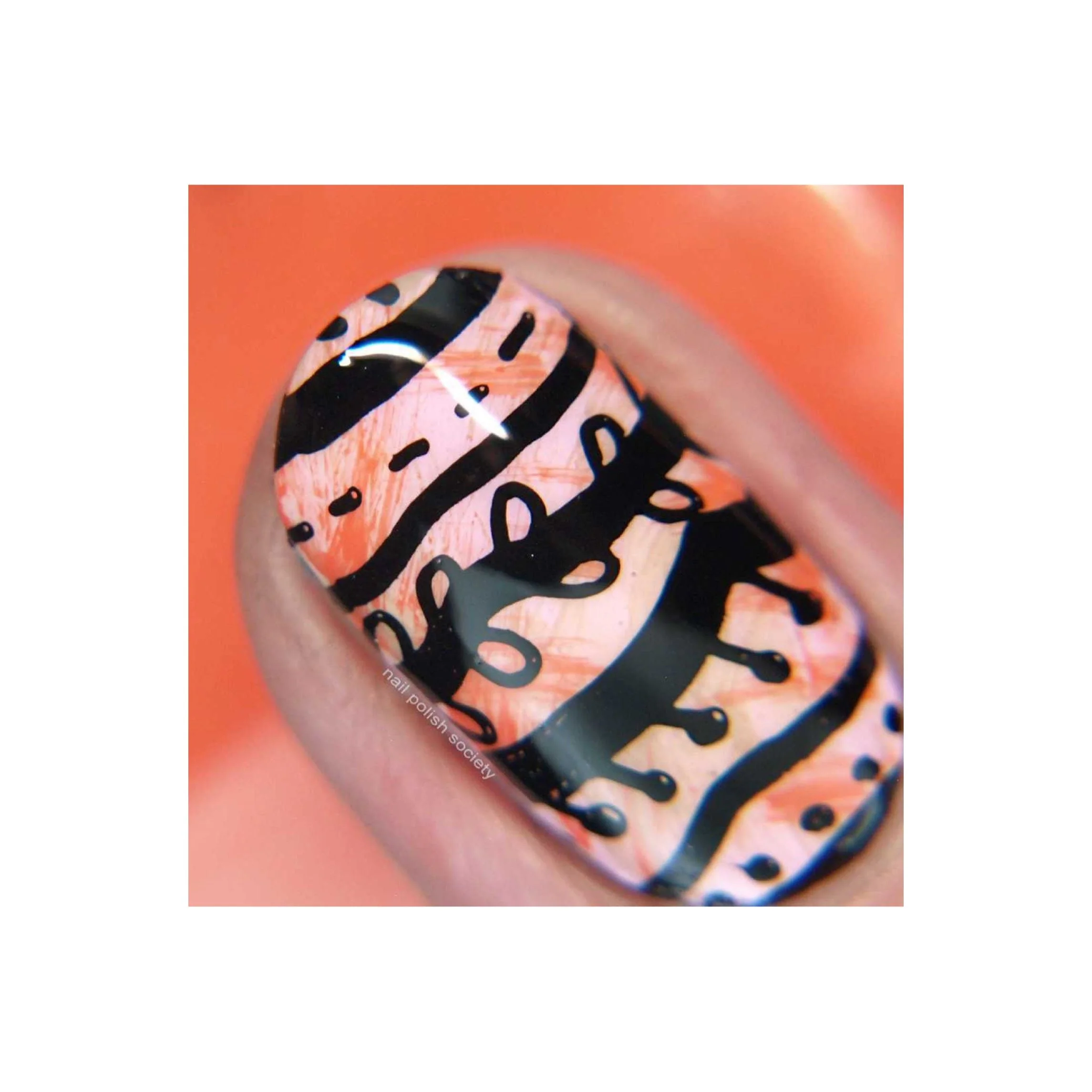Collection 18 - Image 16