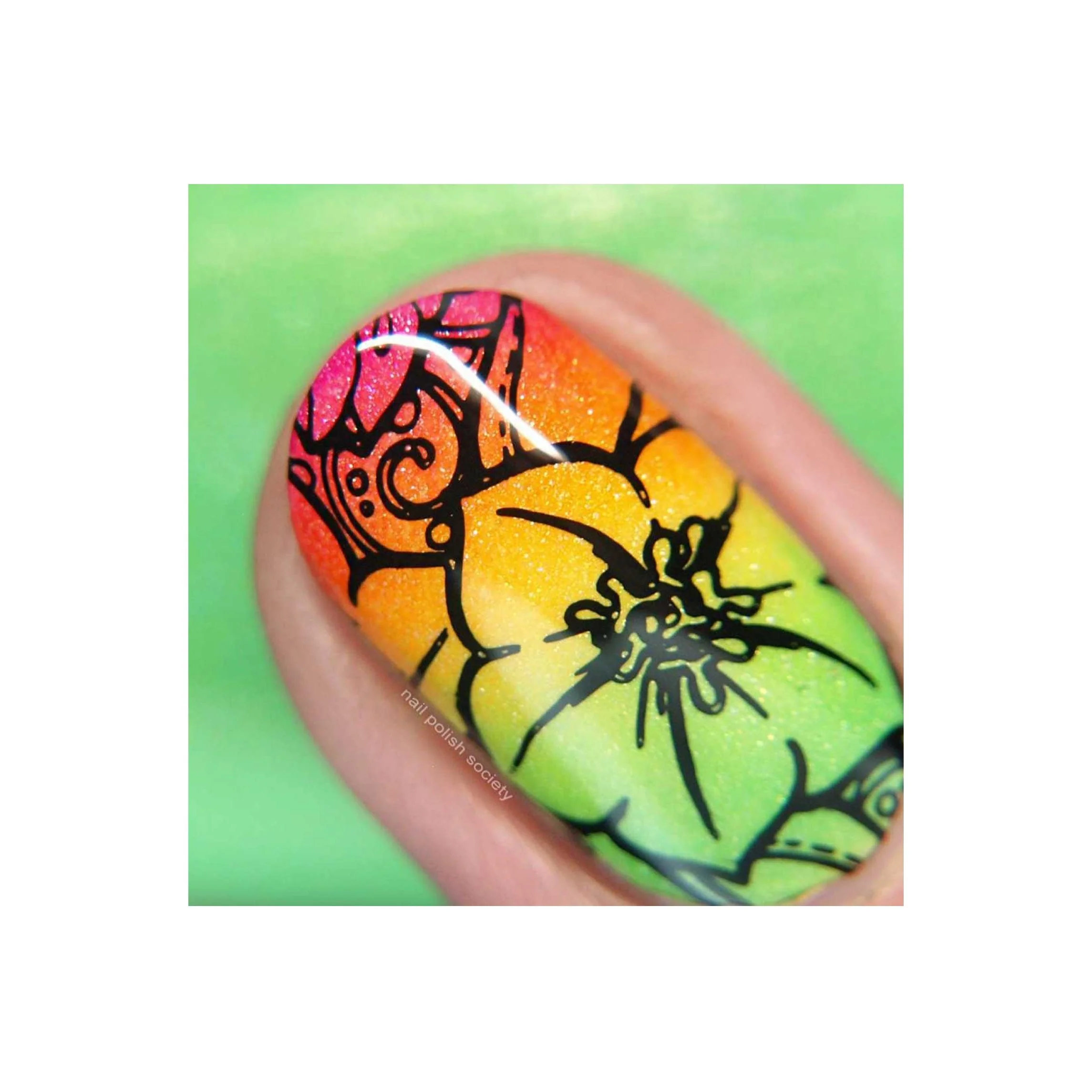 Collection 18 - Image 6
