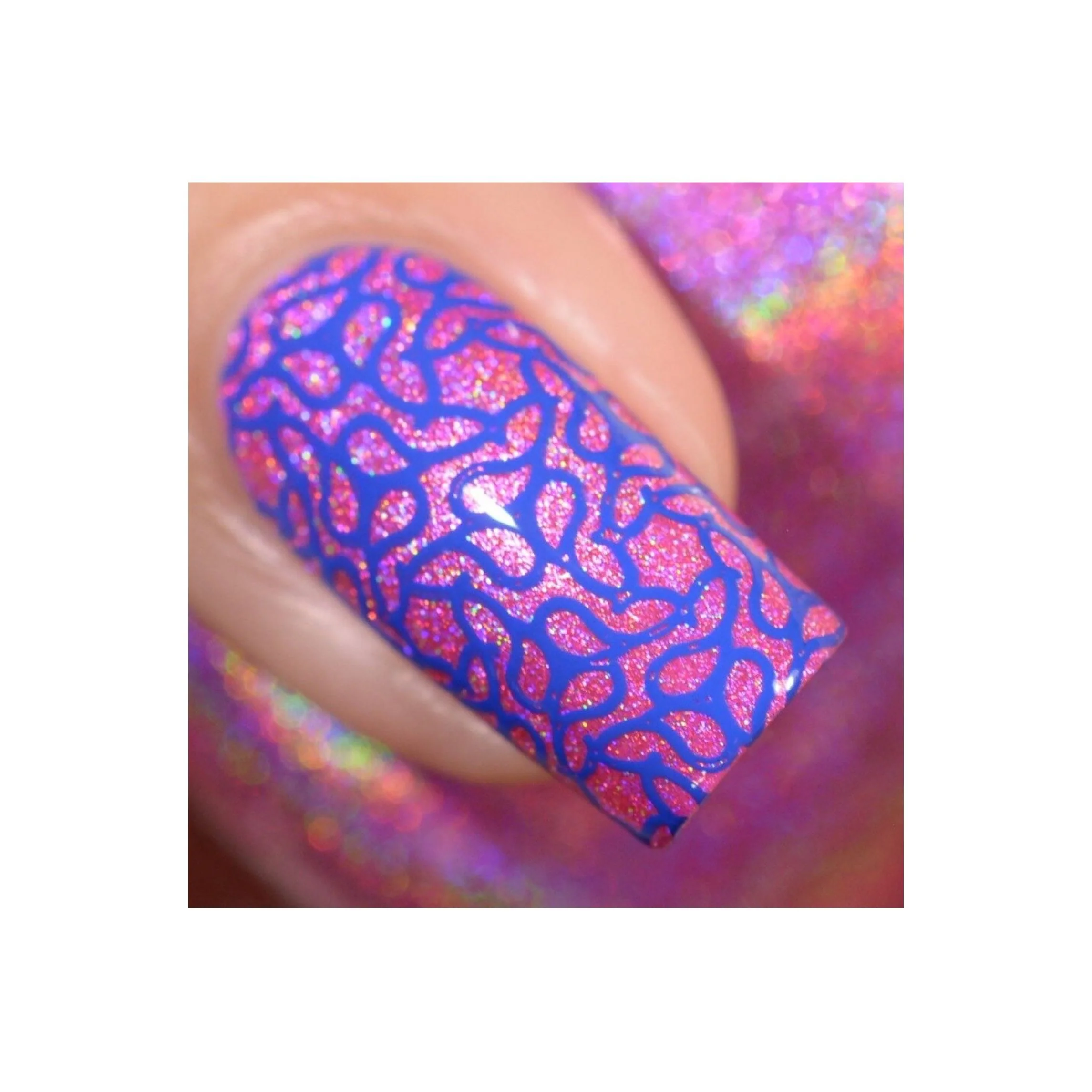 Collection 19 - Image 14
