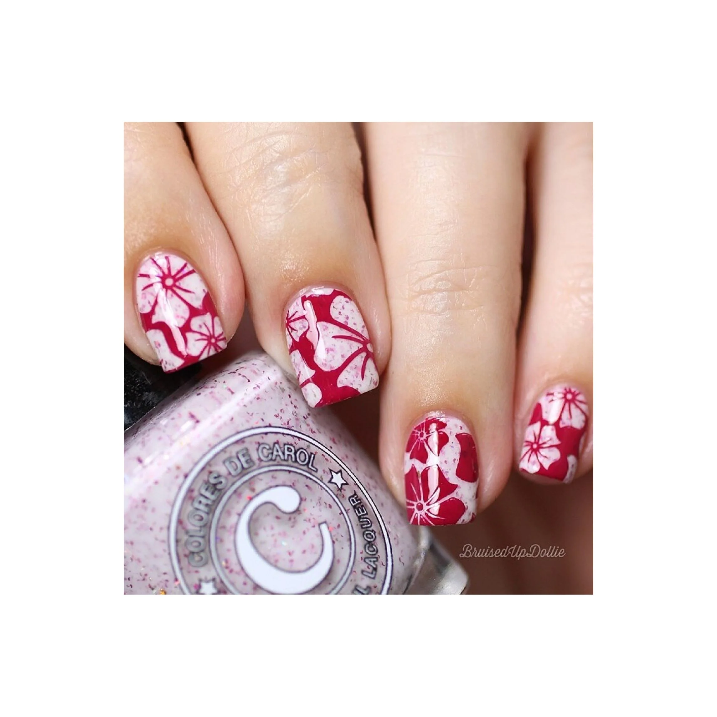 Collection 19 - Image 7