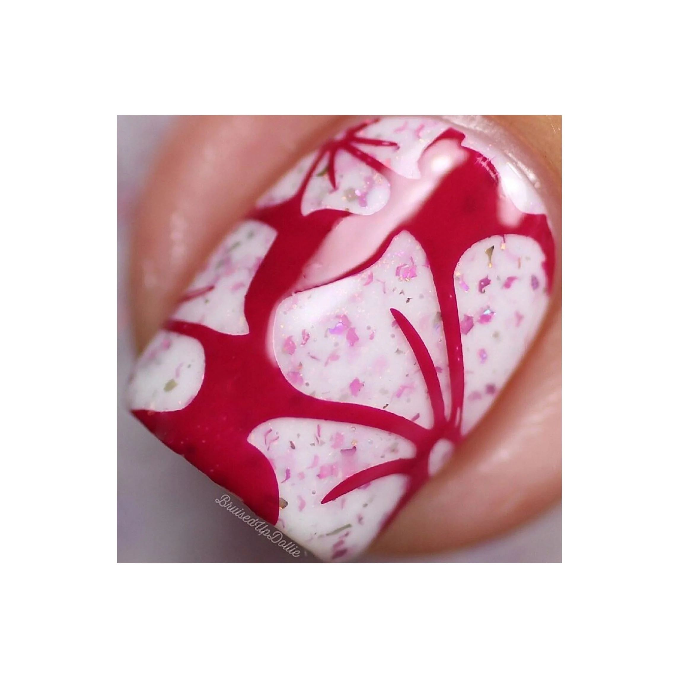 Collection 19 - Image 8
