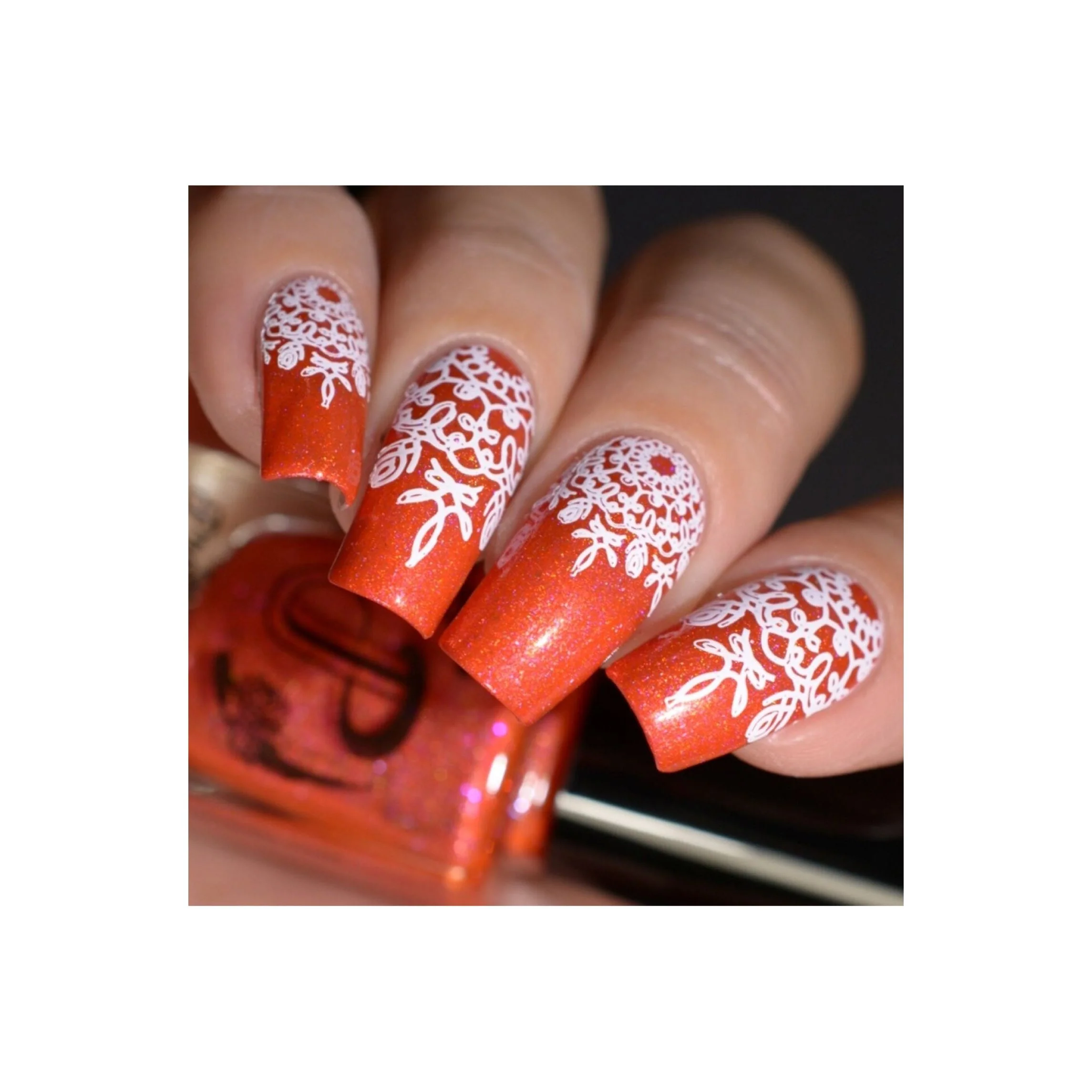 Collection 20 - Image 11