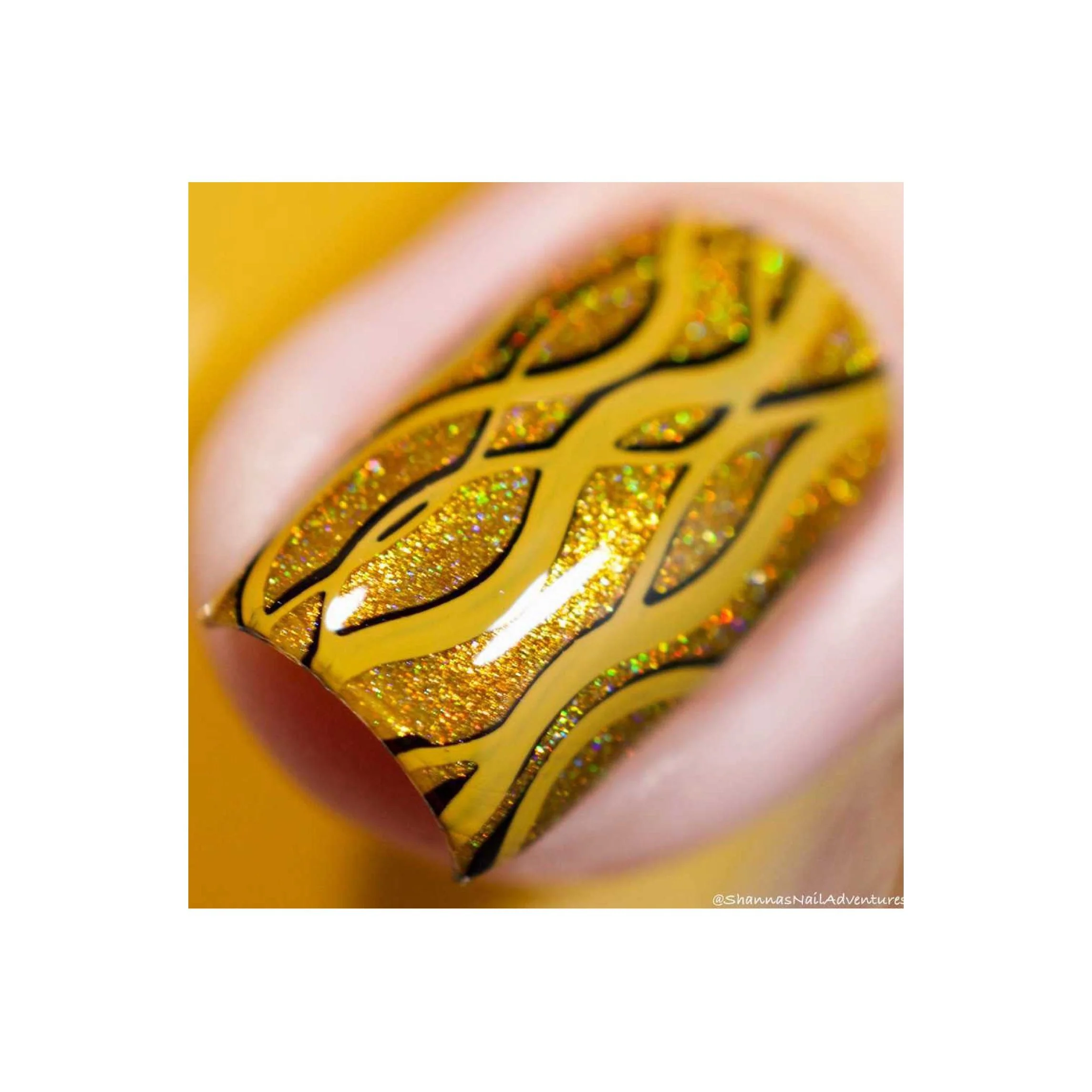 Collection 20 - Image 12
