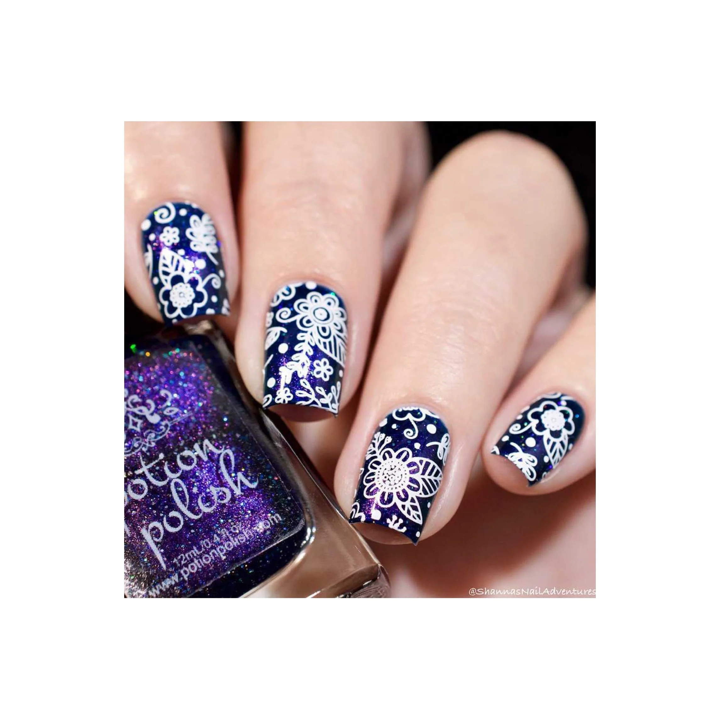 Collection 20 - Image 9