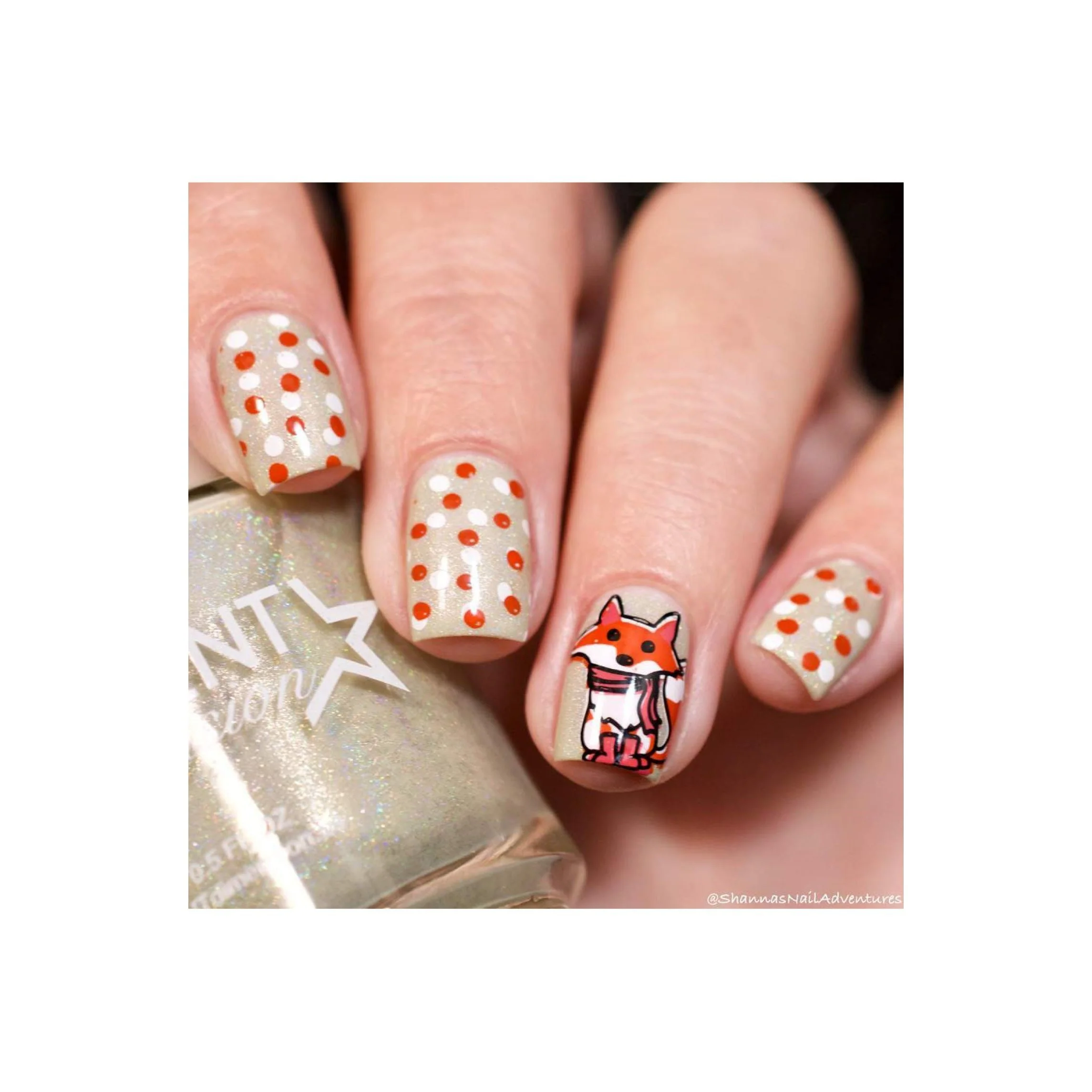 Collection 21 - Image 10
