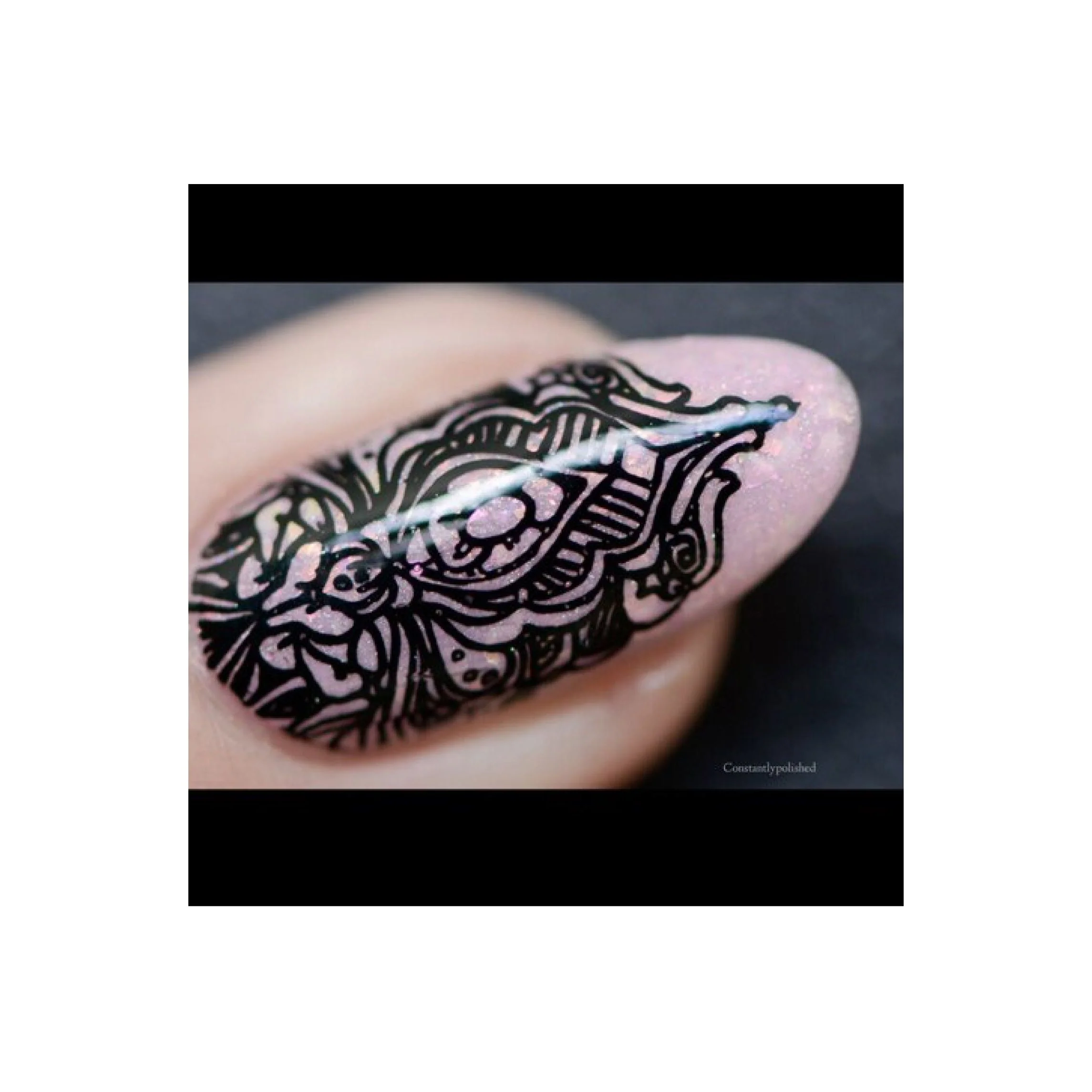 Collection 21 - Image 13