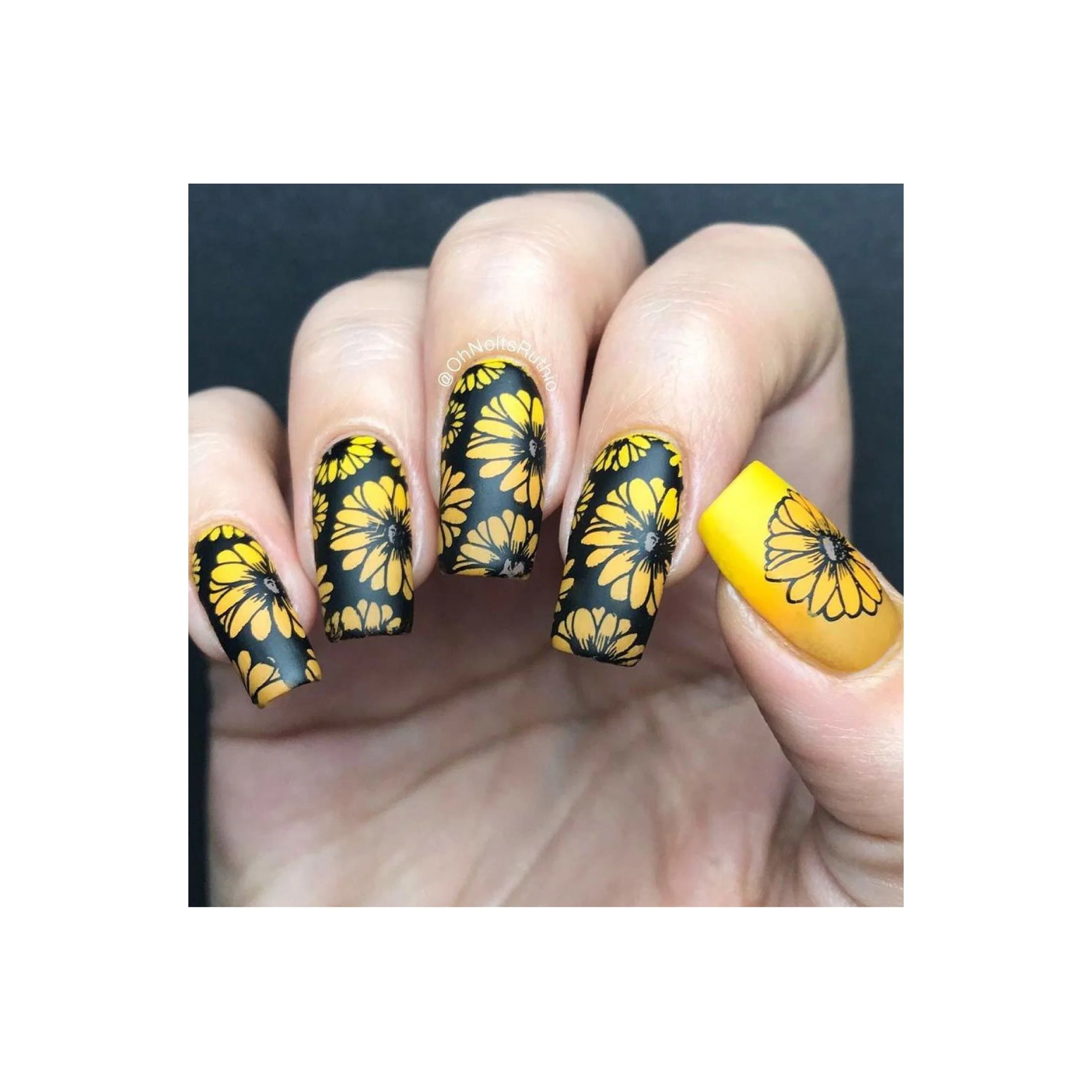 Collection 21 - Image 14