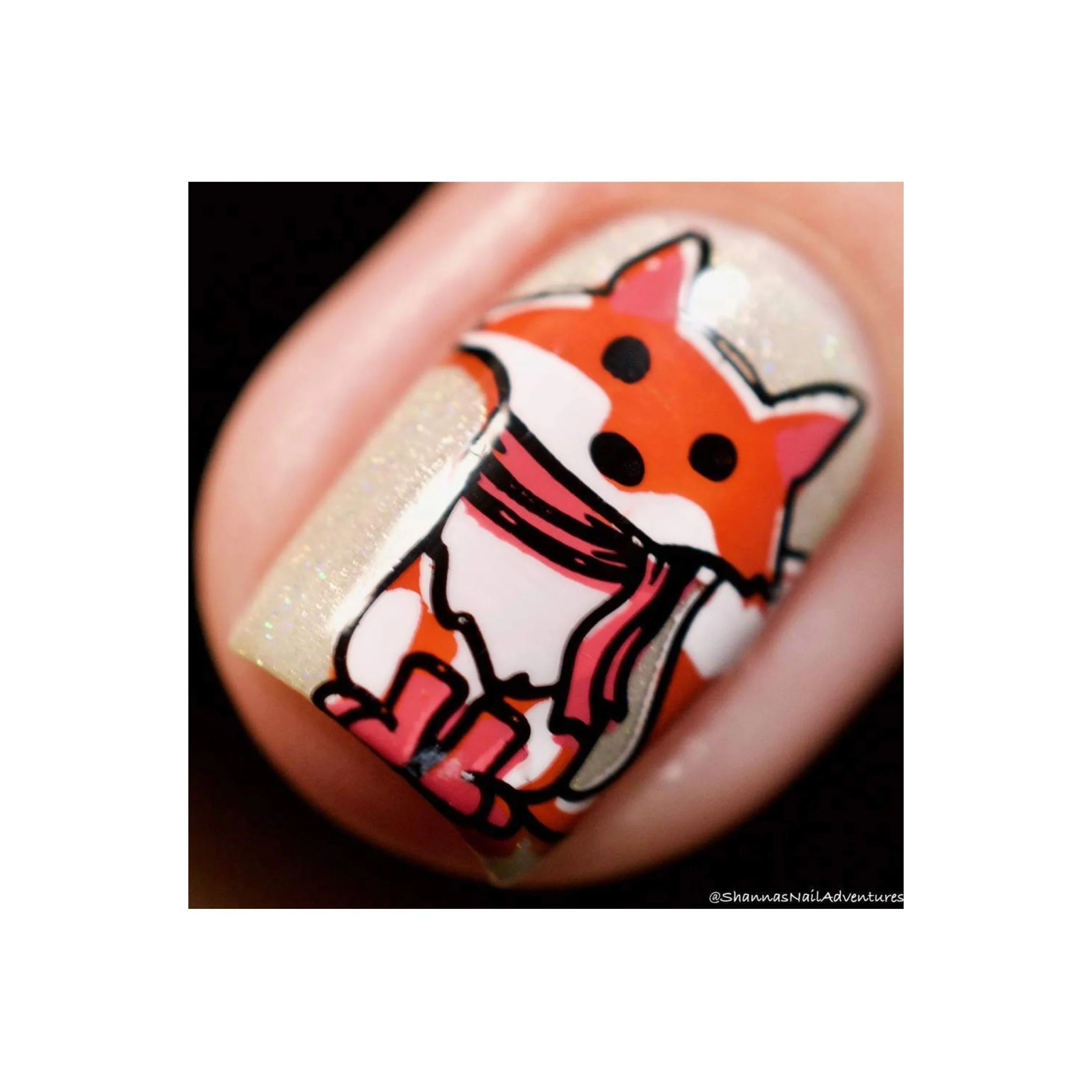 Collection 21 - Image 15