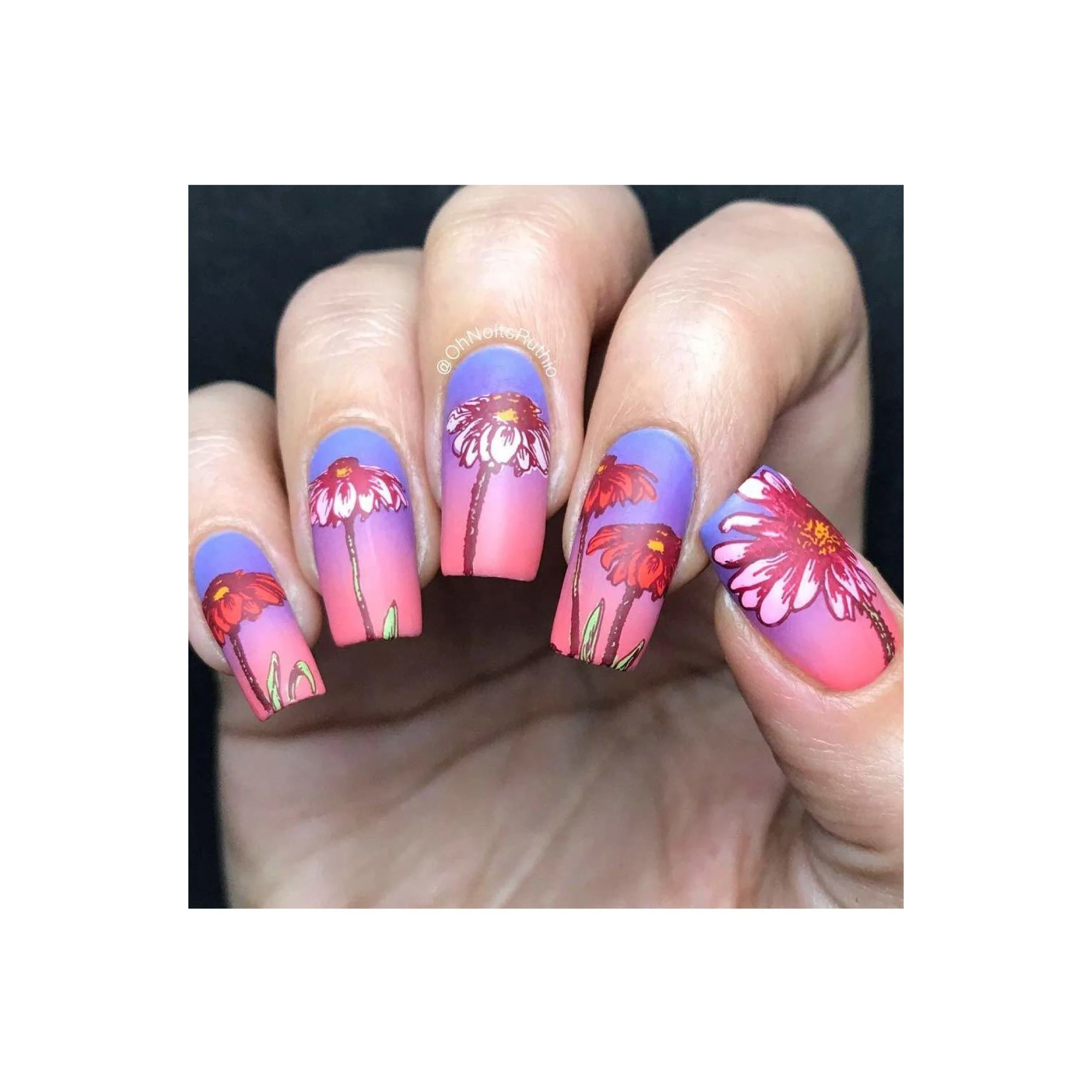 Collection 21 - Image 8