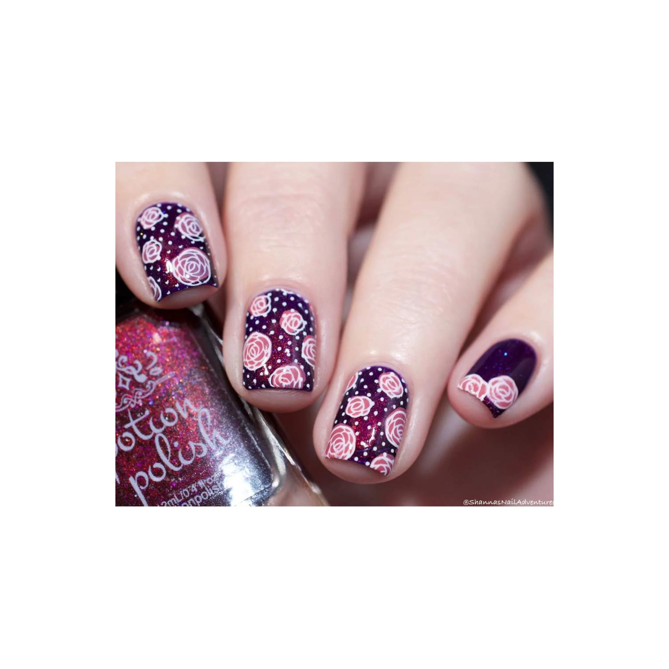 Collection 22 - Image 6