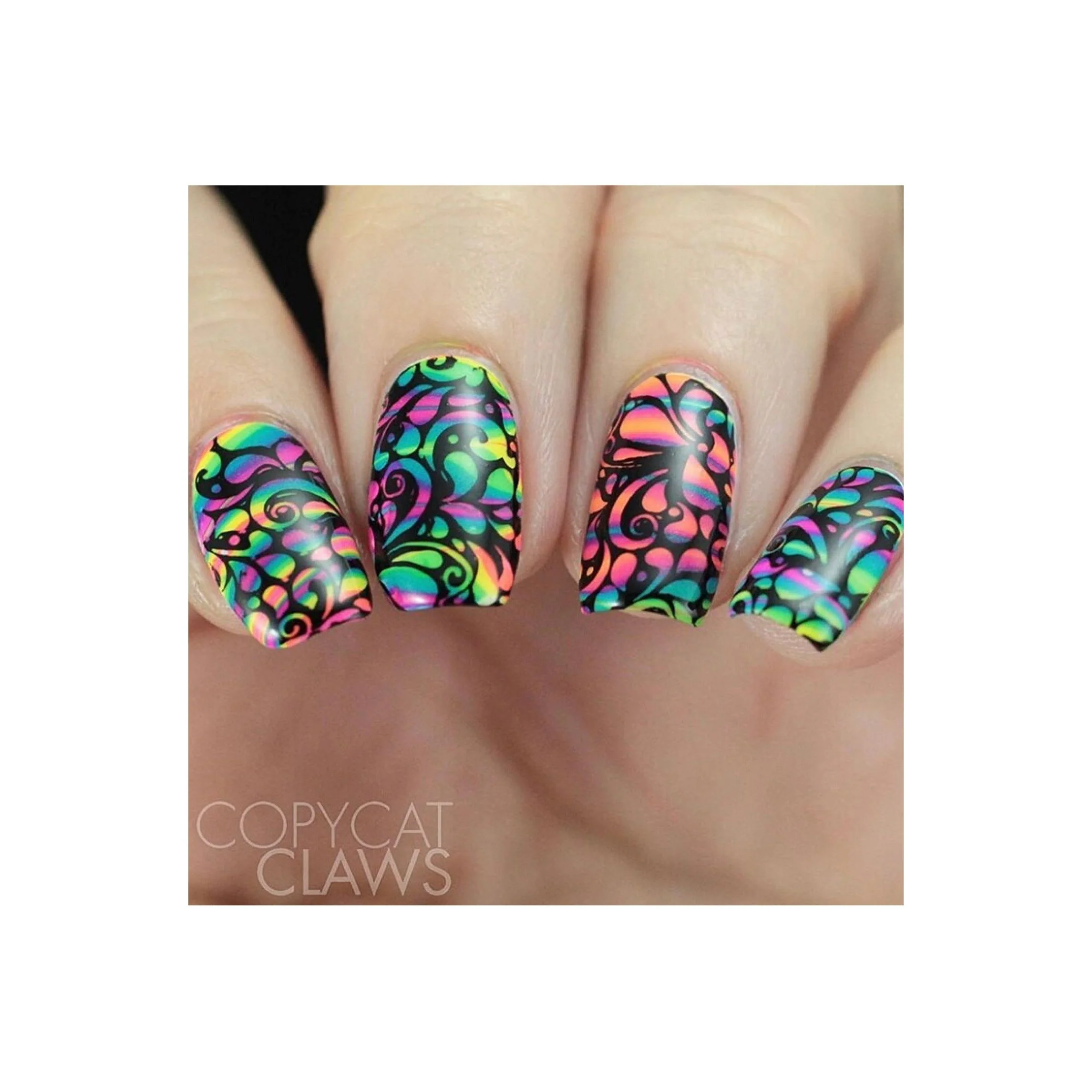 Collection 22 - Image 7