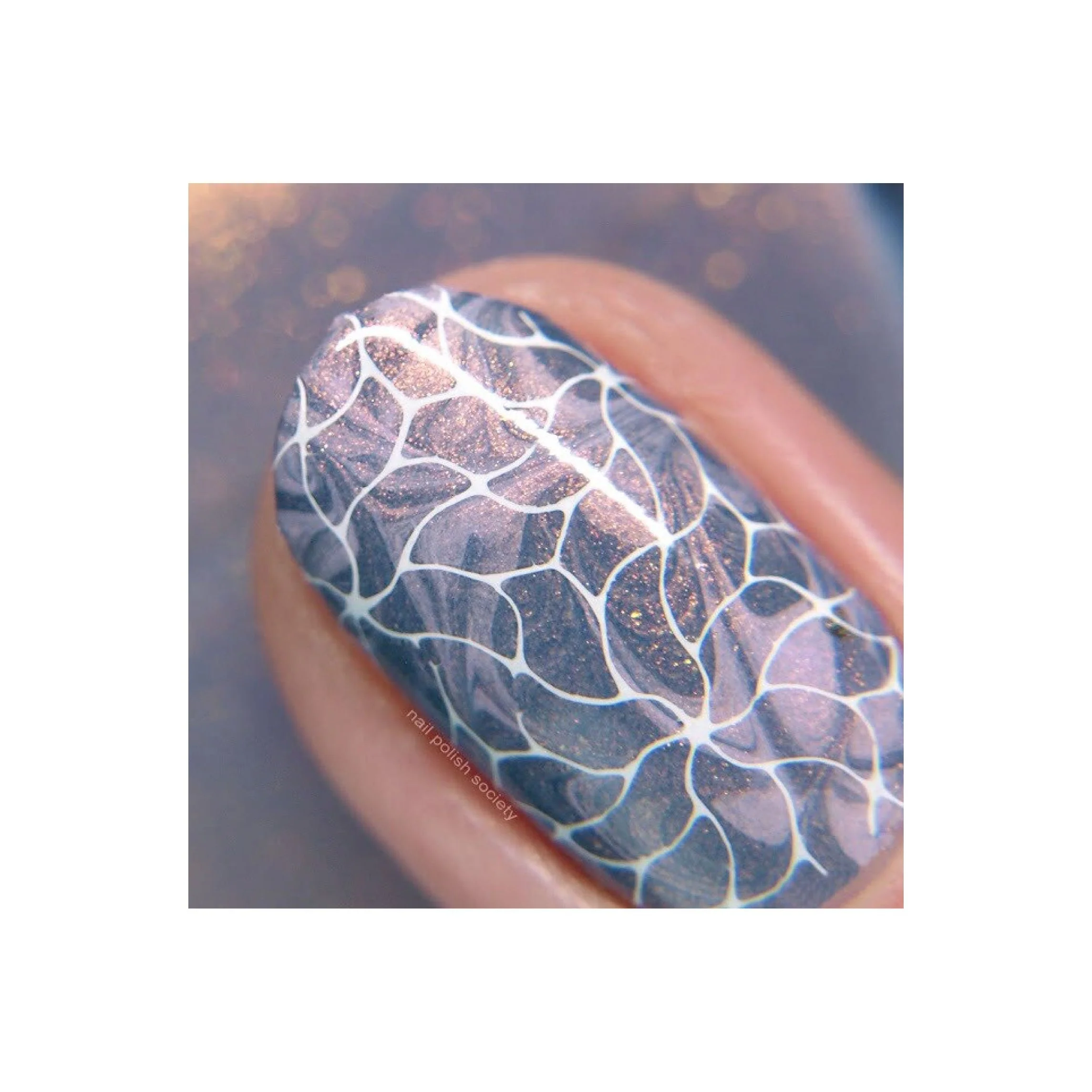 Collection 23 - Image 10