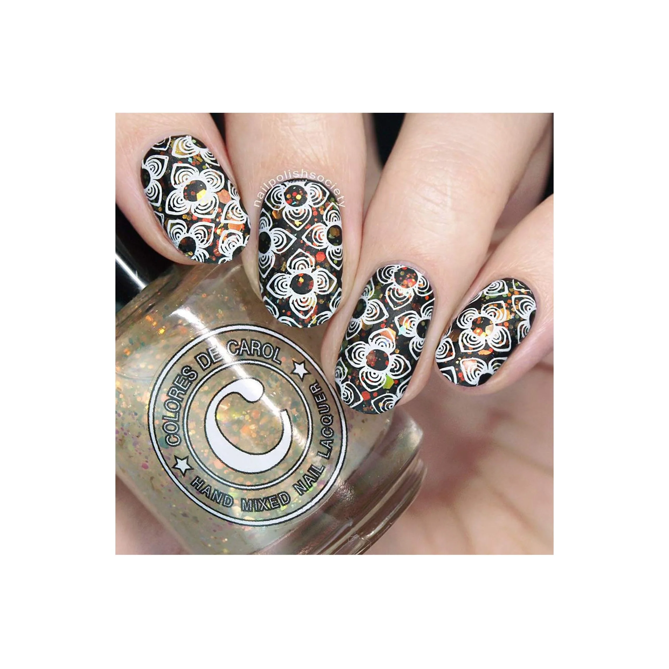 Collection 24 - Image 10