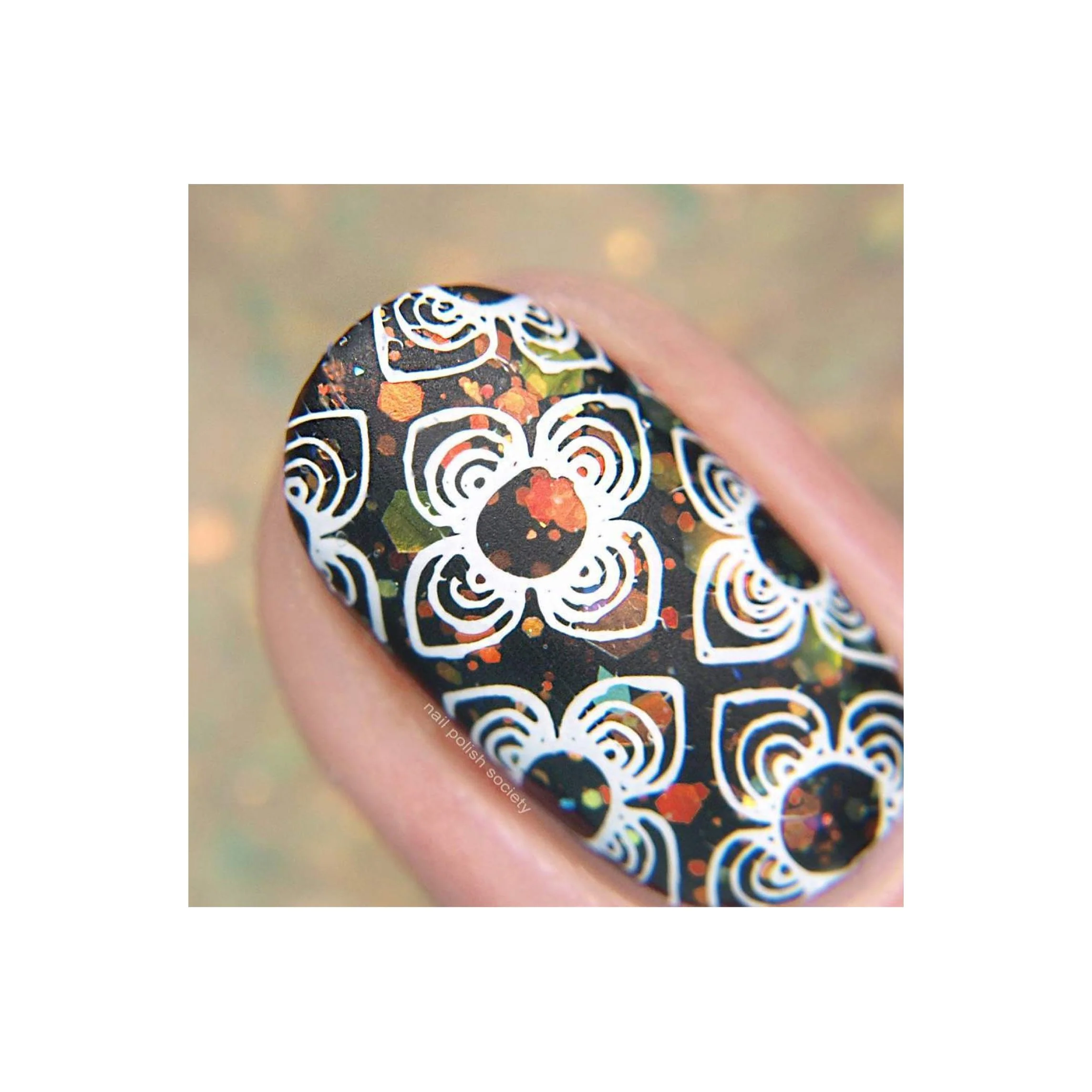 Collection 24 - Image 11