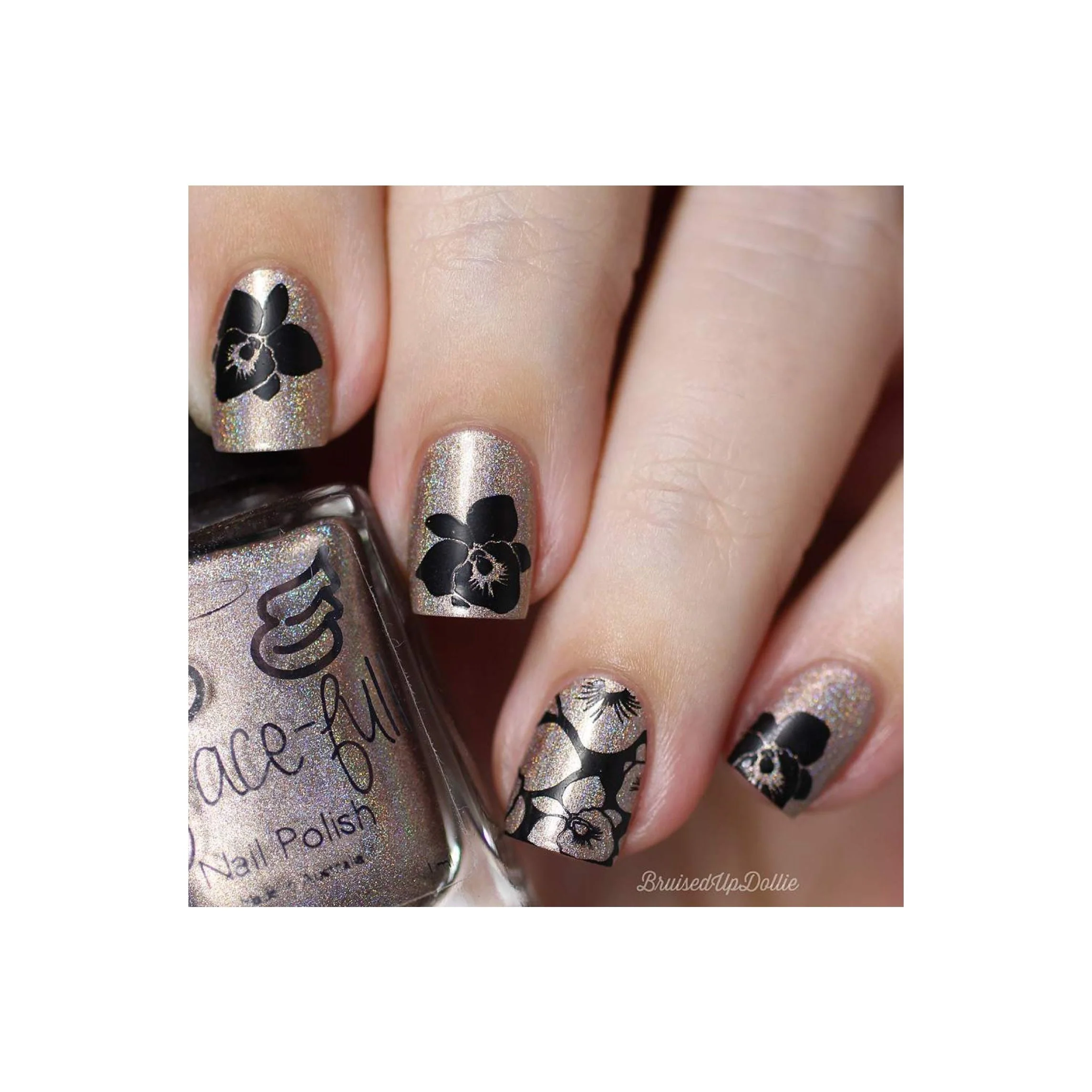 Collection 24 - Image 16