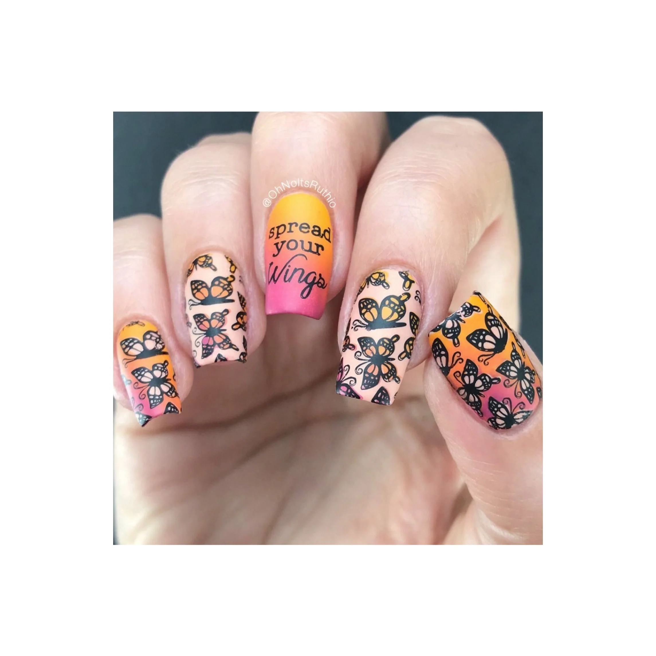Collection 24 - Image 19