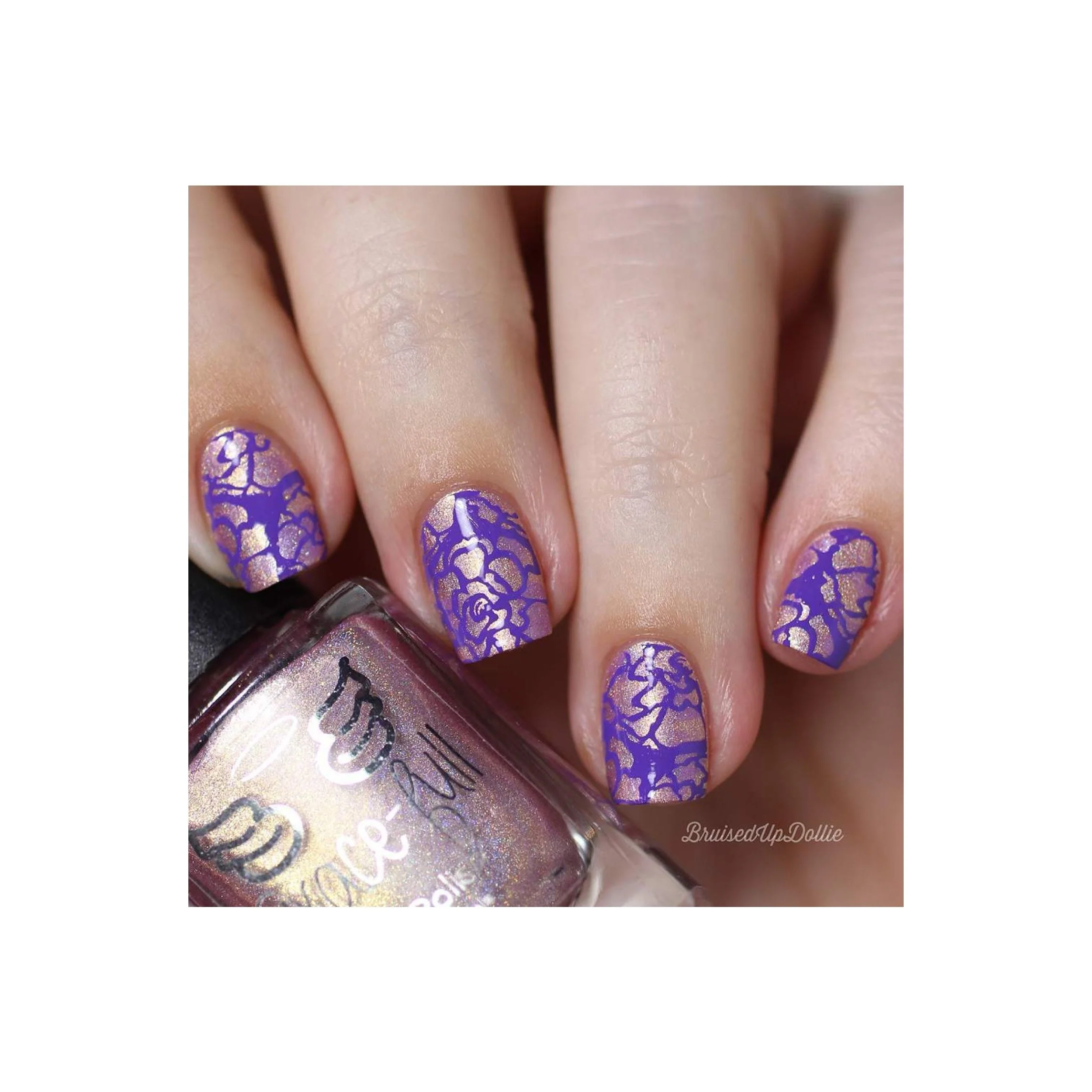 Collection 24 - Image 21
