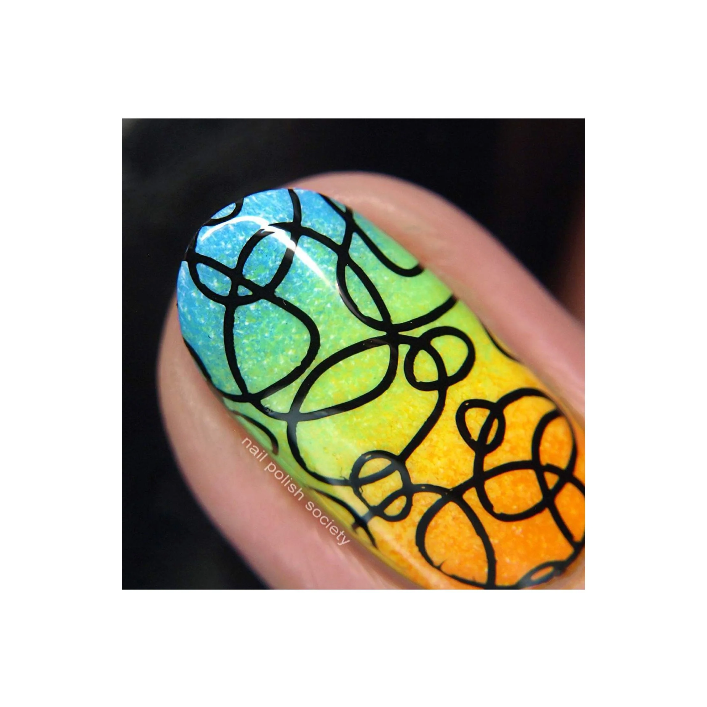 Collection 26 - Image 17