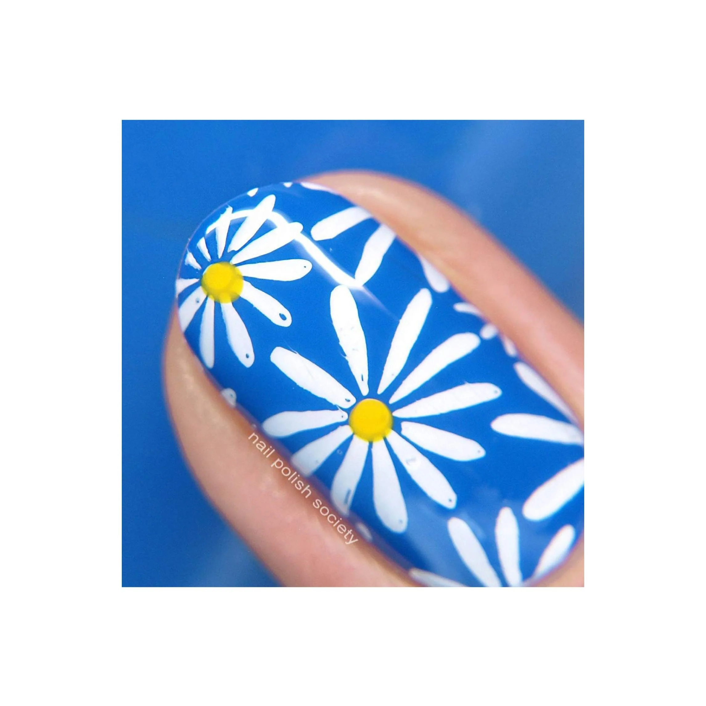 Collection 26 - Image 9