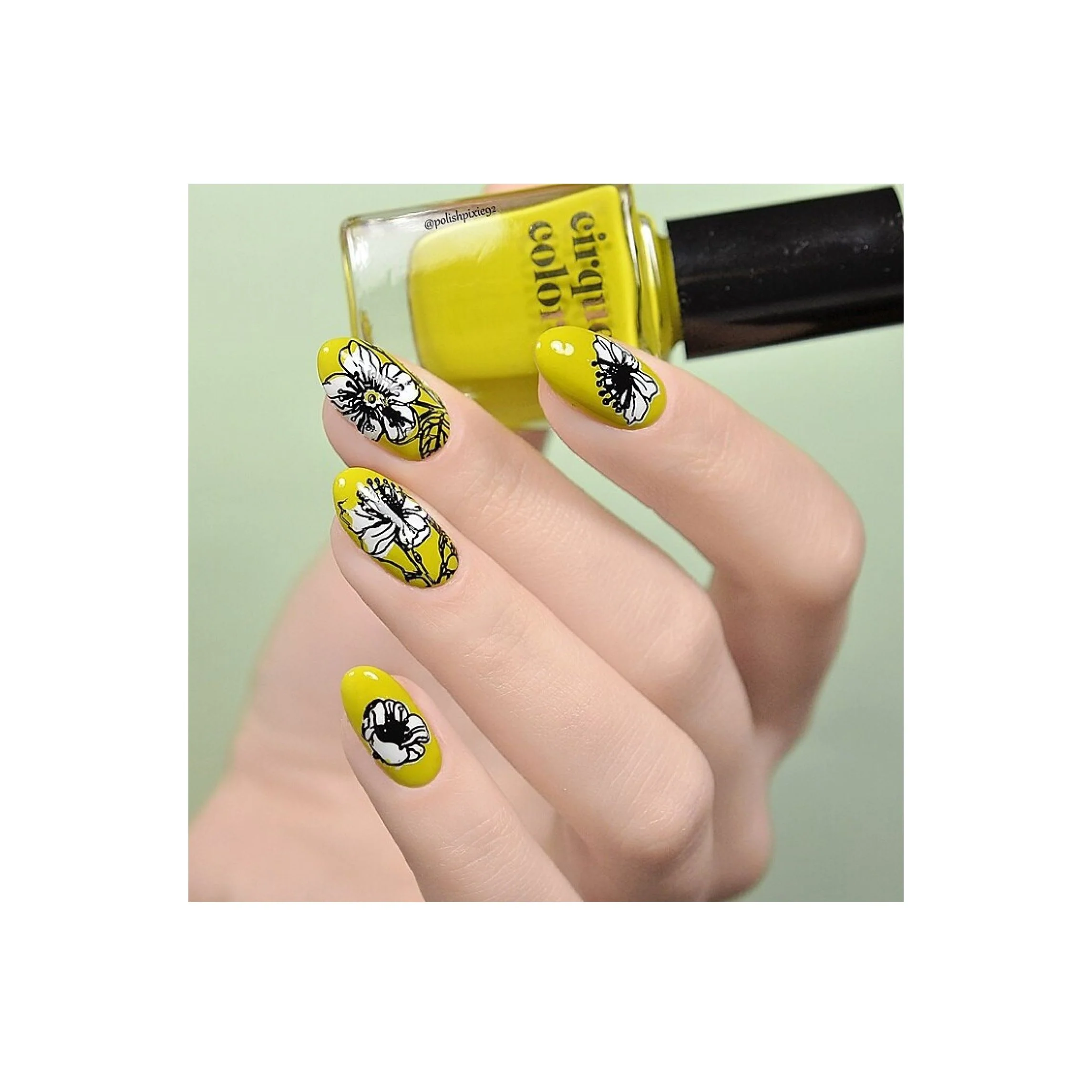 Collection 28 - Image 6