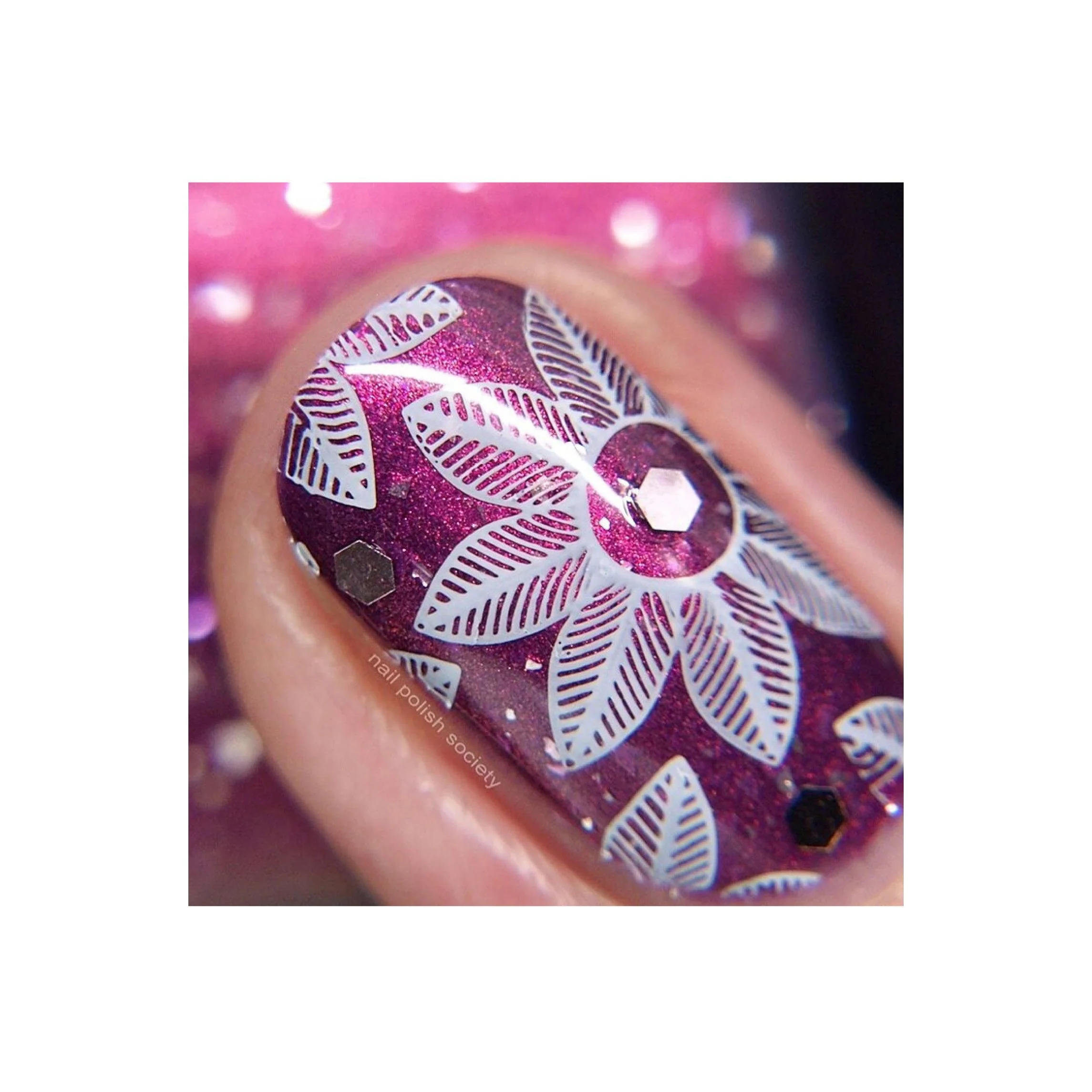 Collection 28 - Image 7