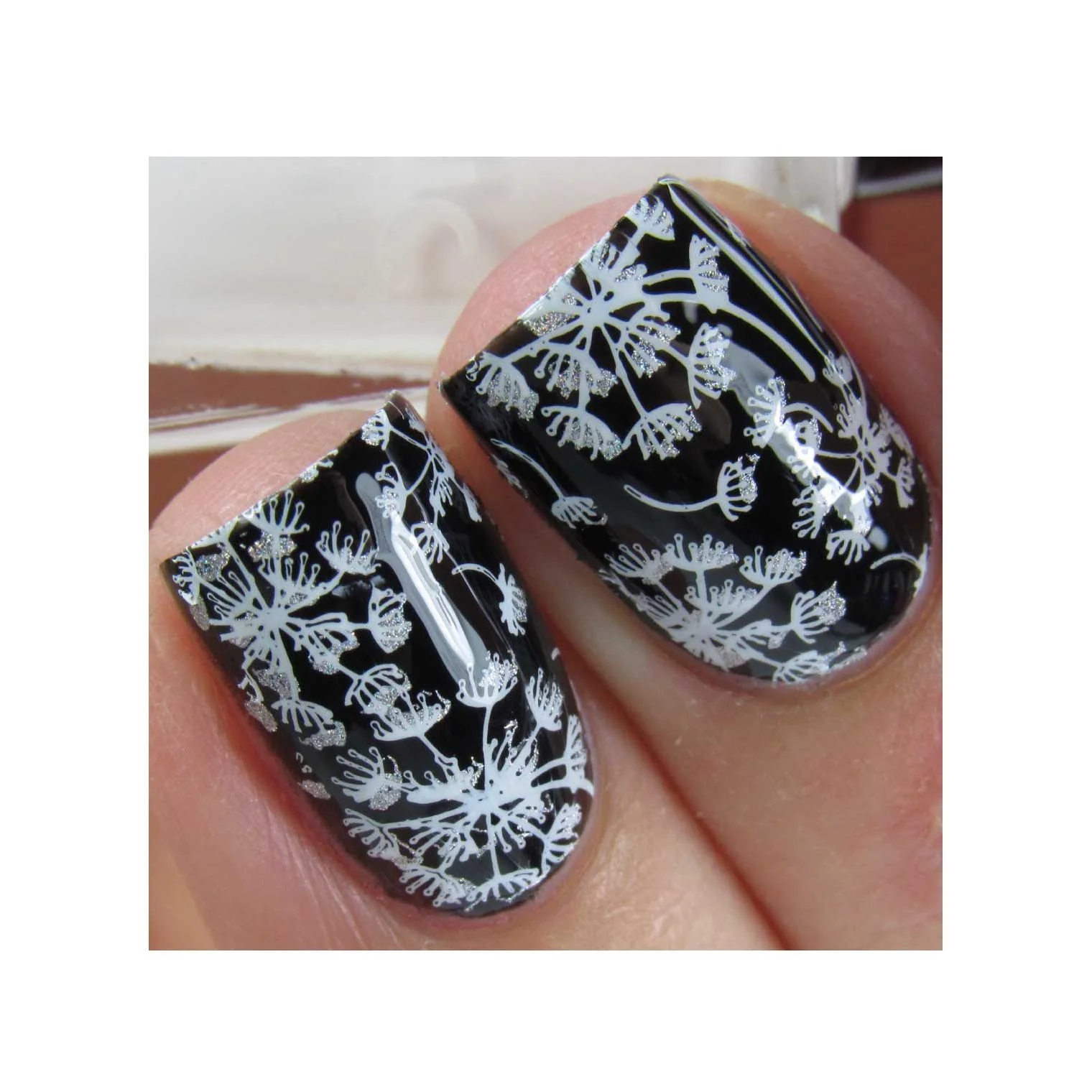 Collection 29 - Image 18