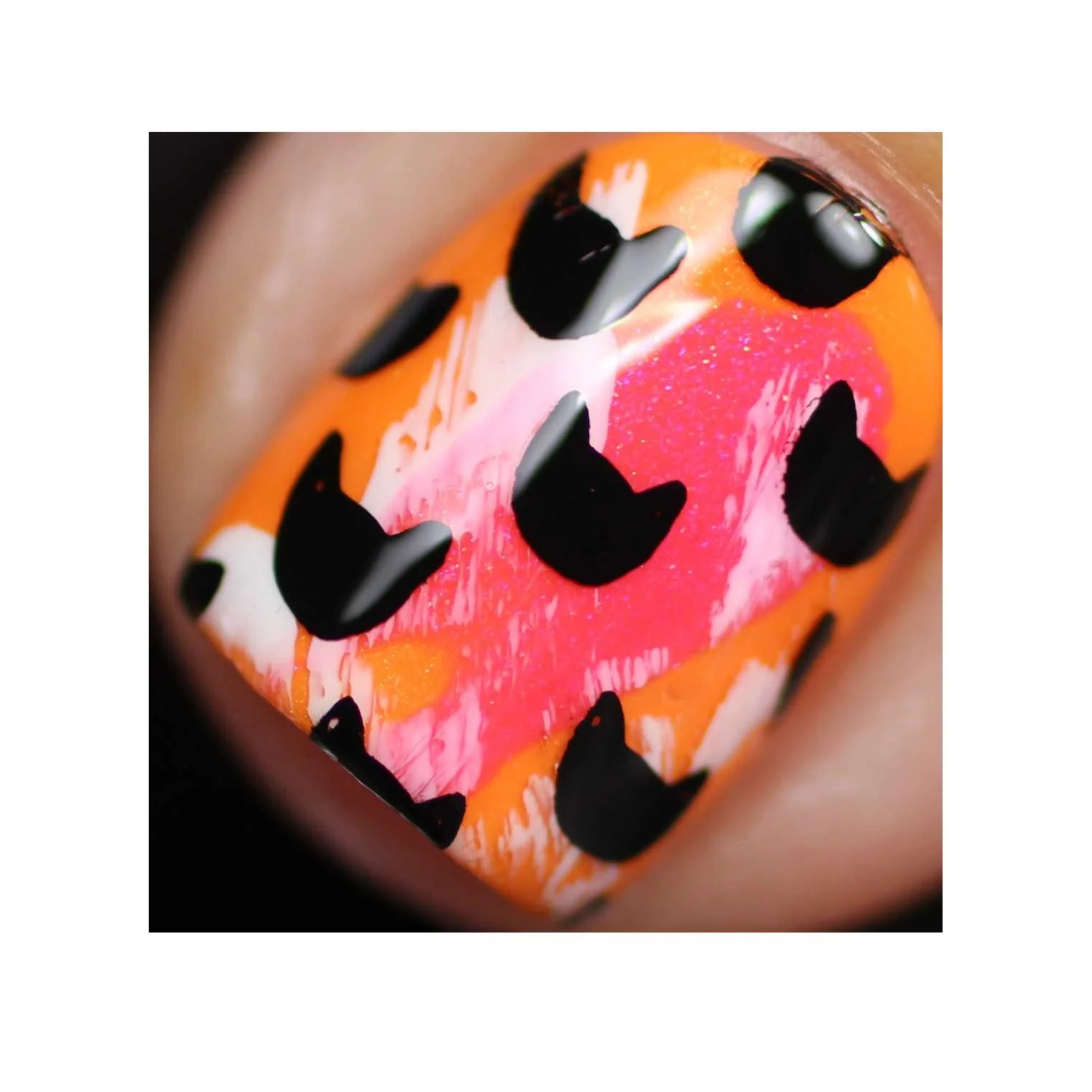 Collection 29 - Image 21