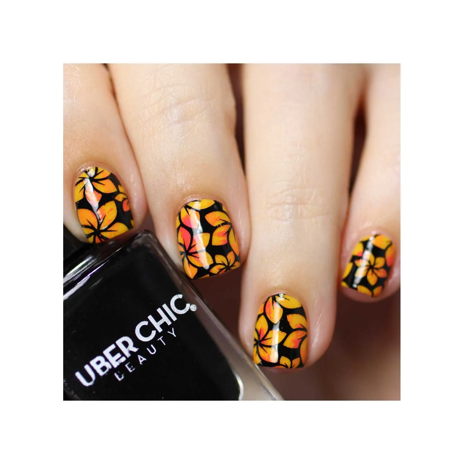 Collection 29 - Image 22