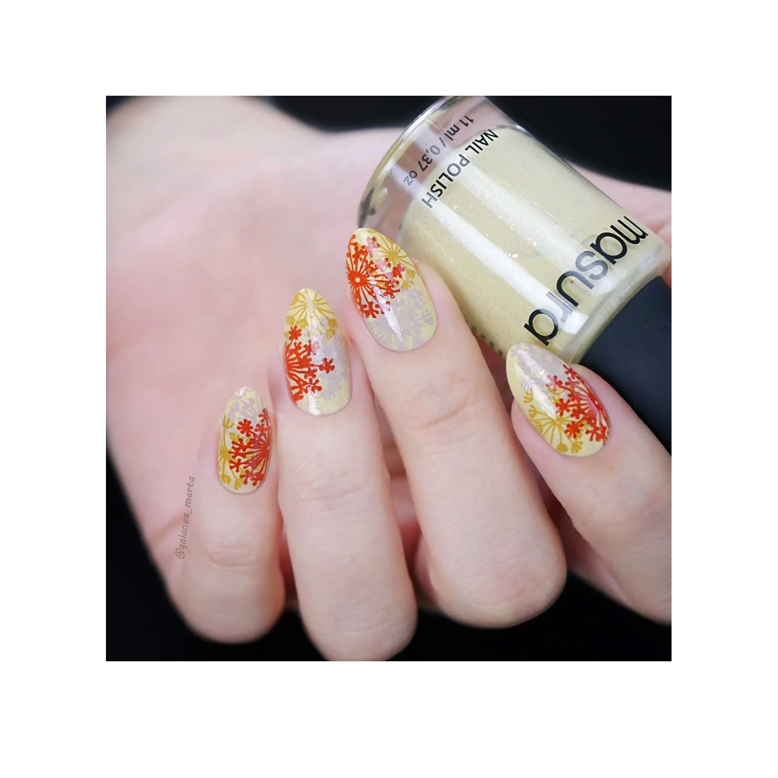 Collection 29 - Image 24
