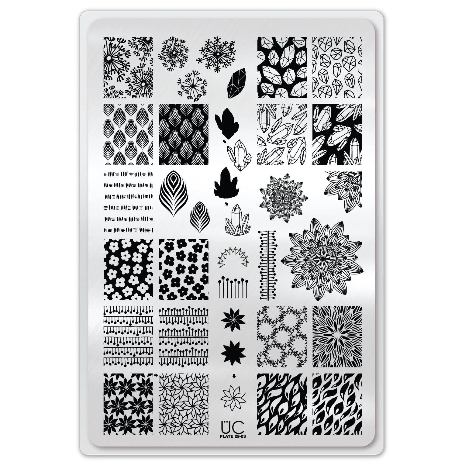 Collection 29 - Image 5