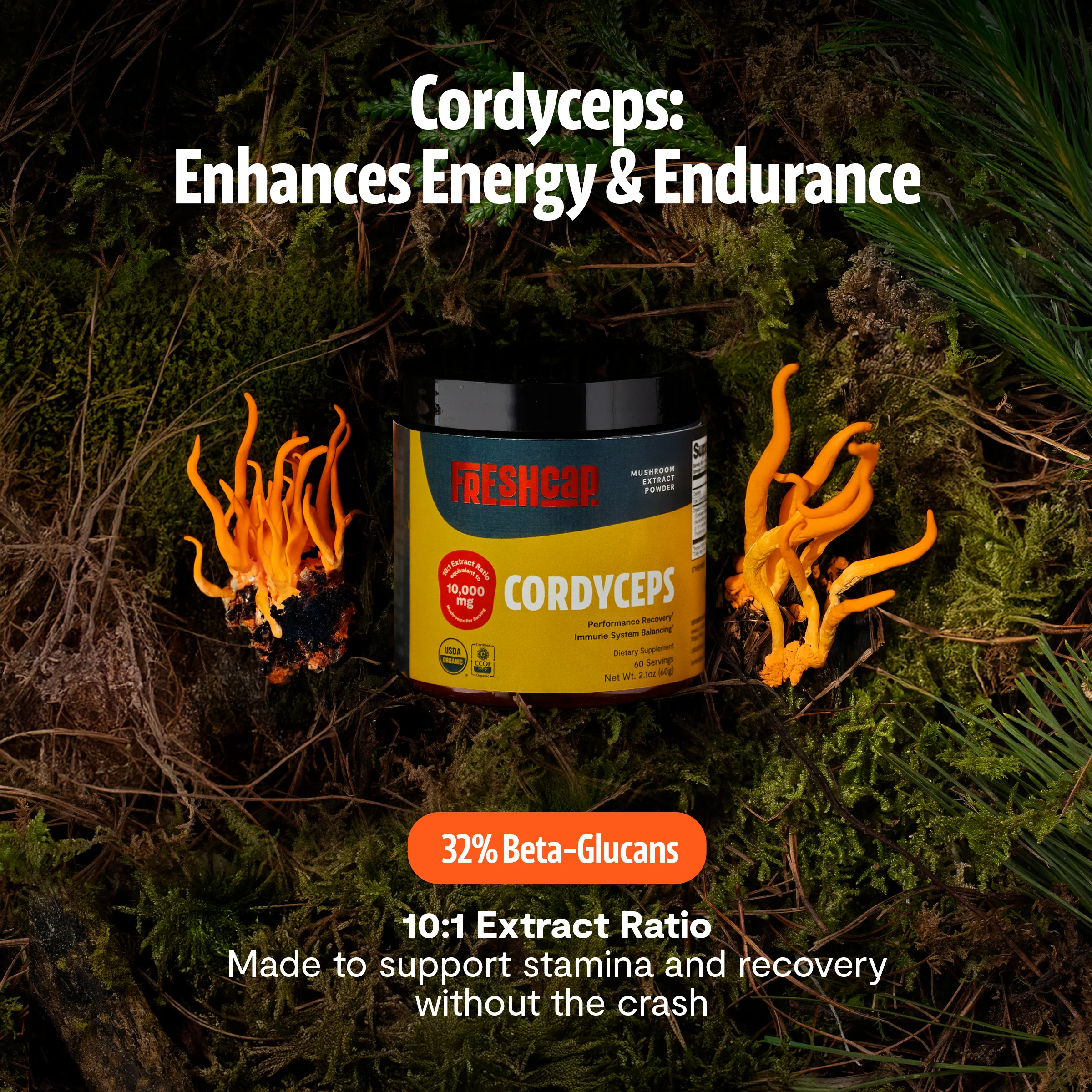 Cordyceps Mushroom Extract Powder - Image 27
