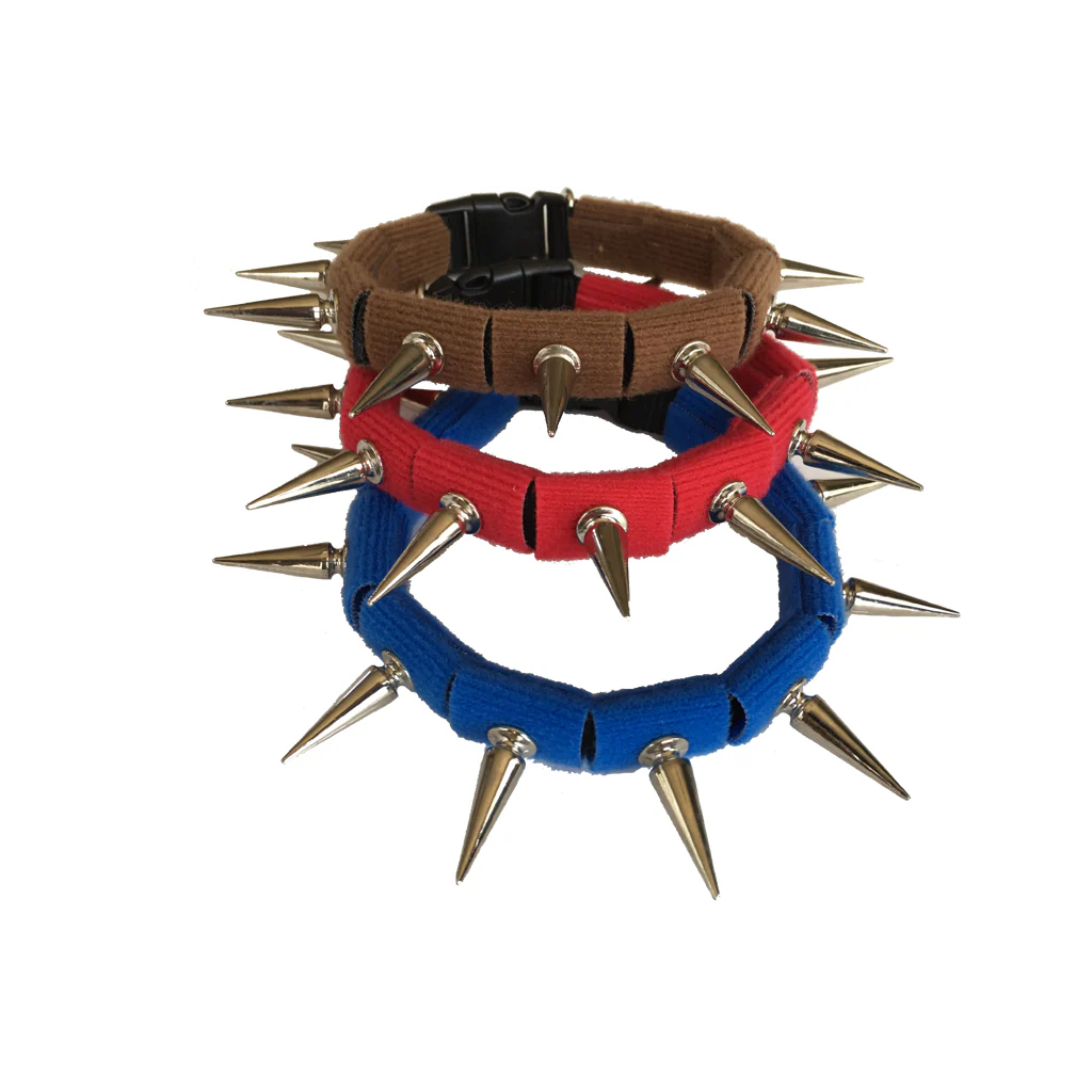 CoyoteCollar