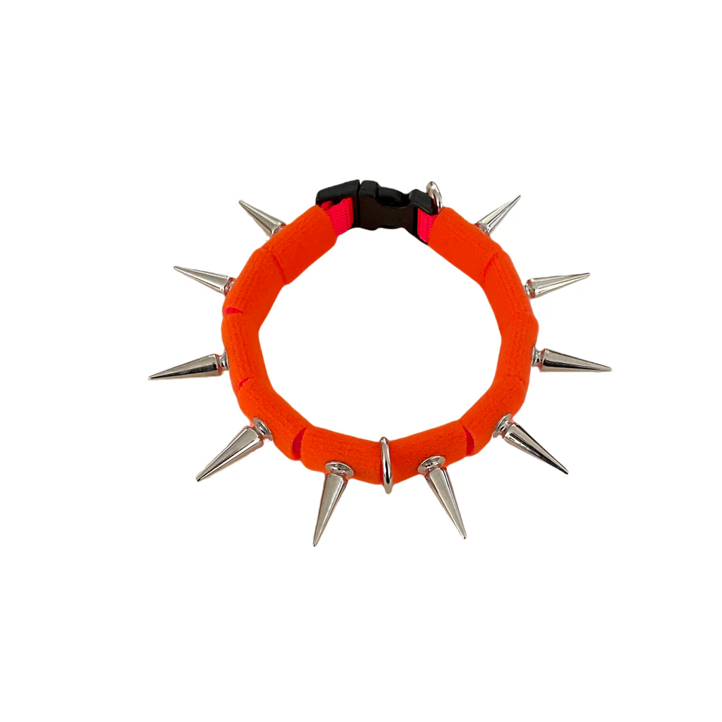 CoyoteCollar - Image 29