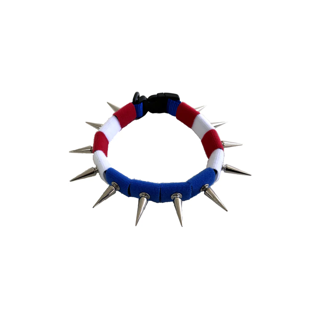 CoyoteCollar - Image 9