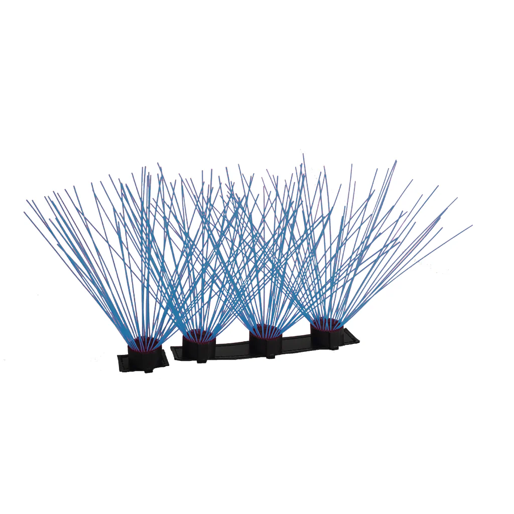 CoyoteWhiskers - Image 2