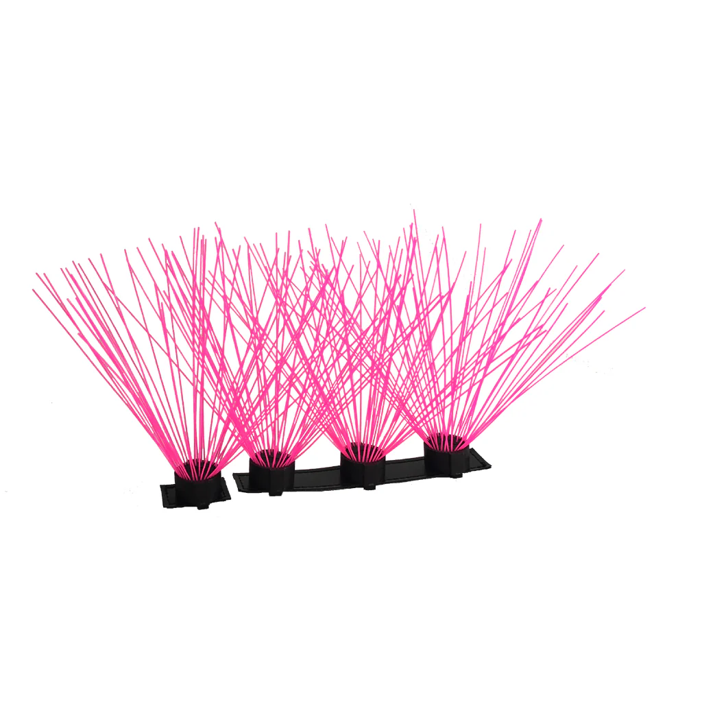 CoyoteWhiskers - Image 6