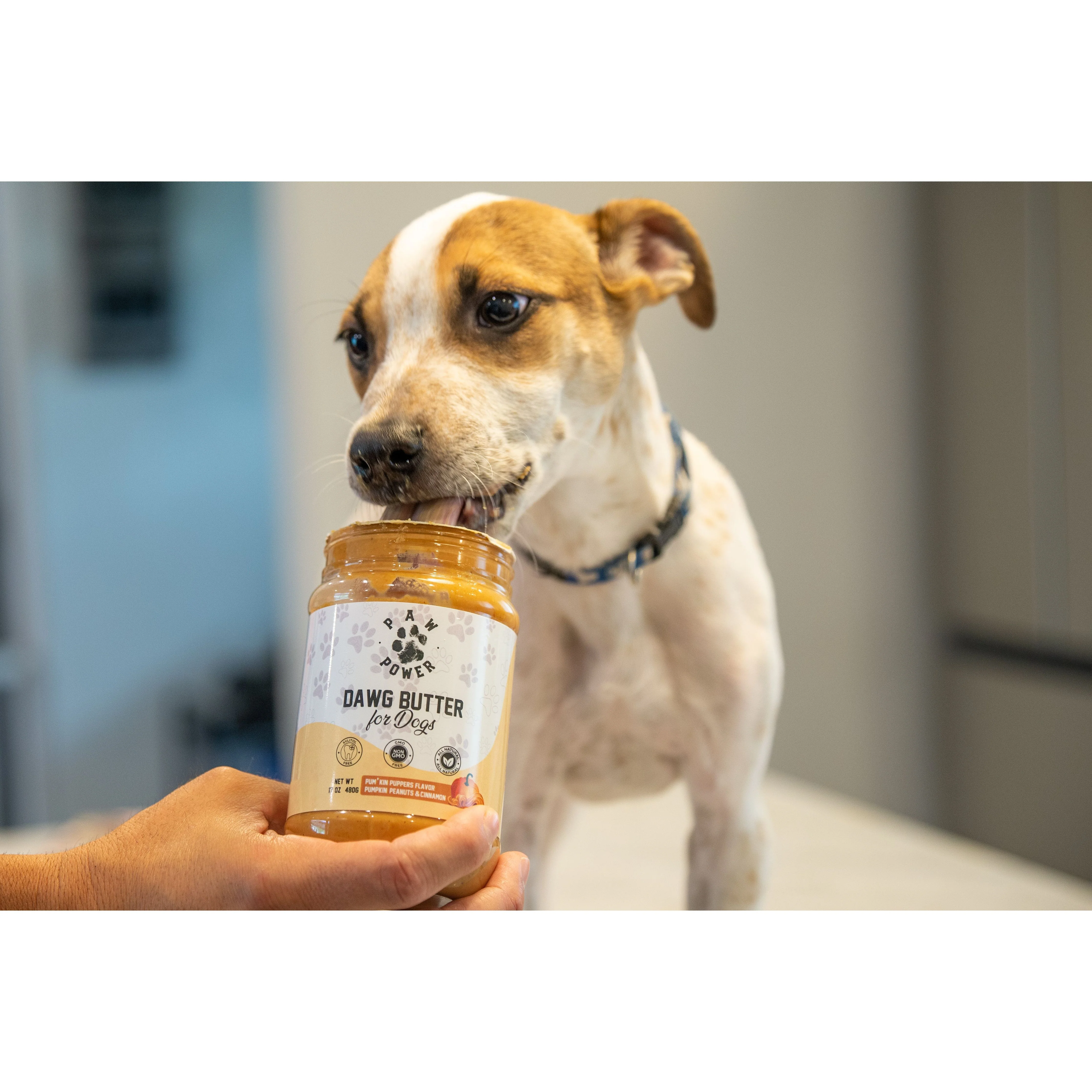 Dawg Butter Pum'kin Puppers Flavor - Image 9