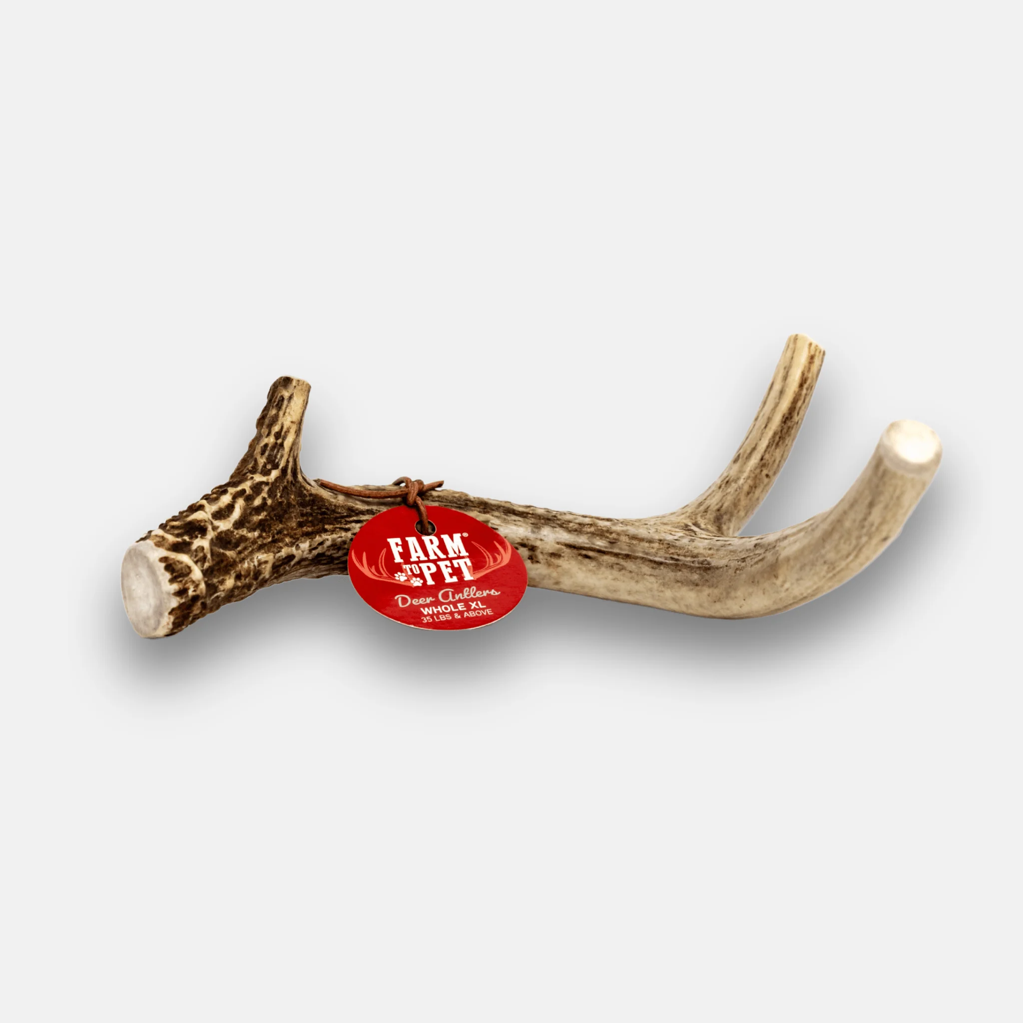 Deer Antler Dog Chews | Organic Chews for Dogs - Image 17