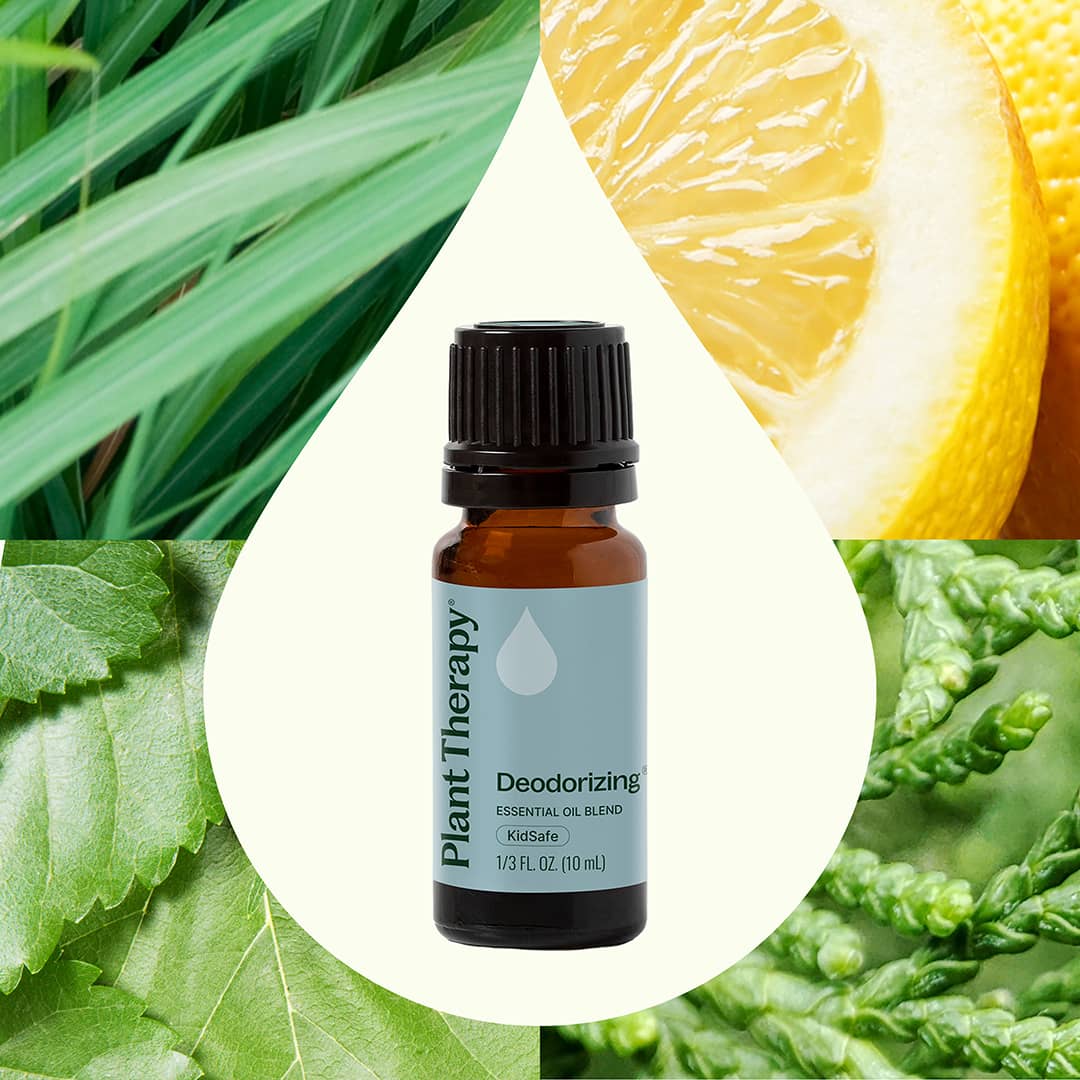 Deodorizing Essential Oil Blend - Image 6