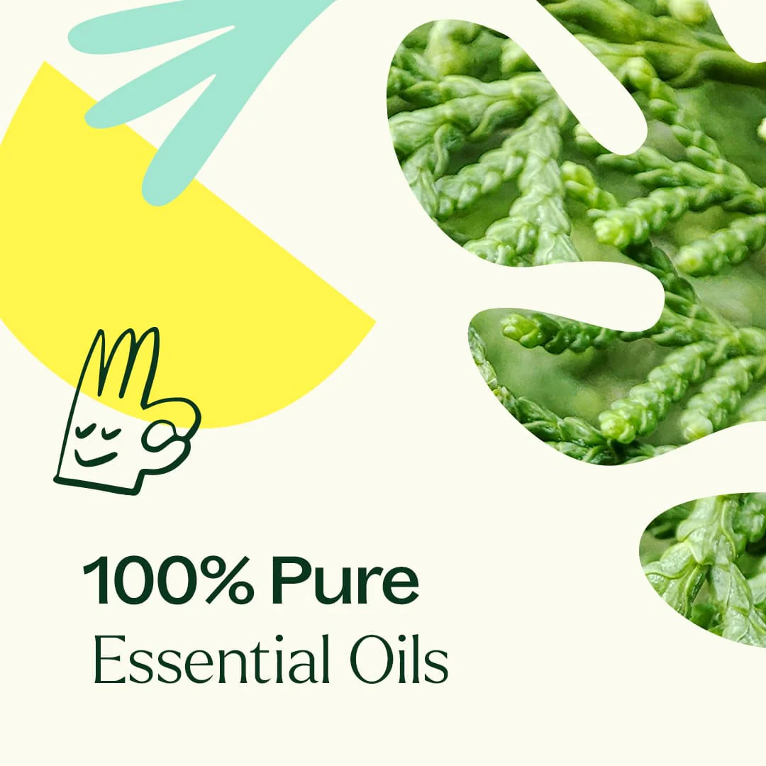 Deodorizing Essential Oil Blend - Image 7