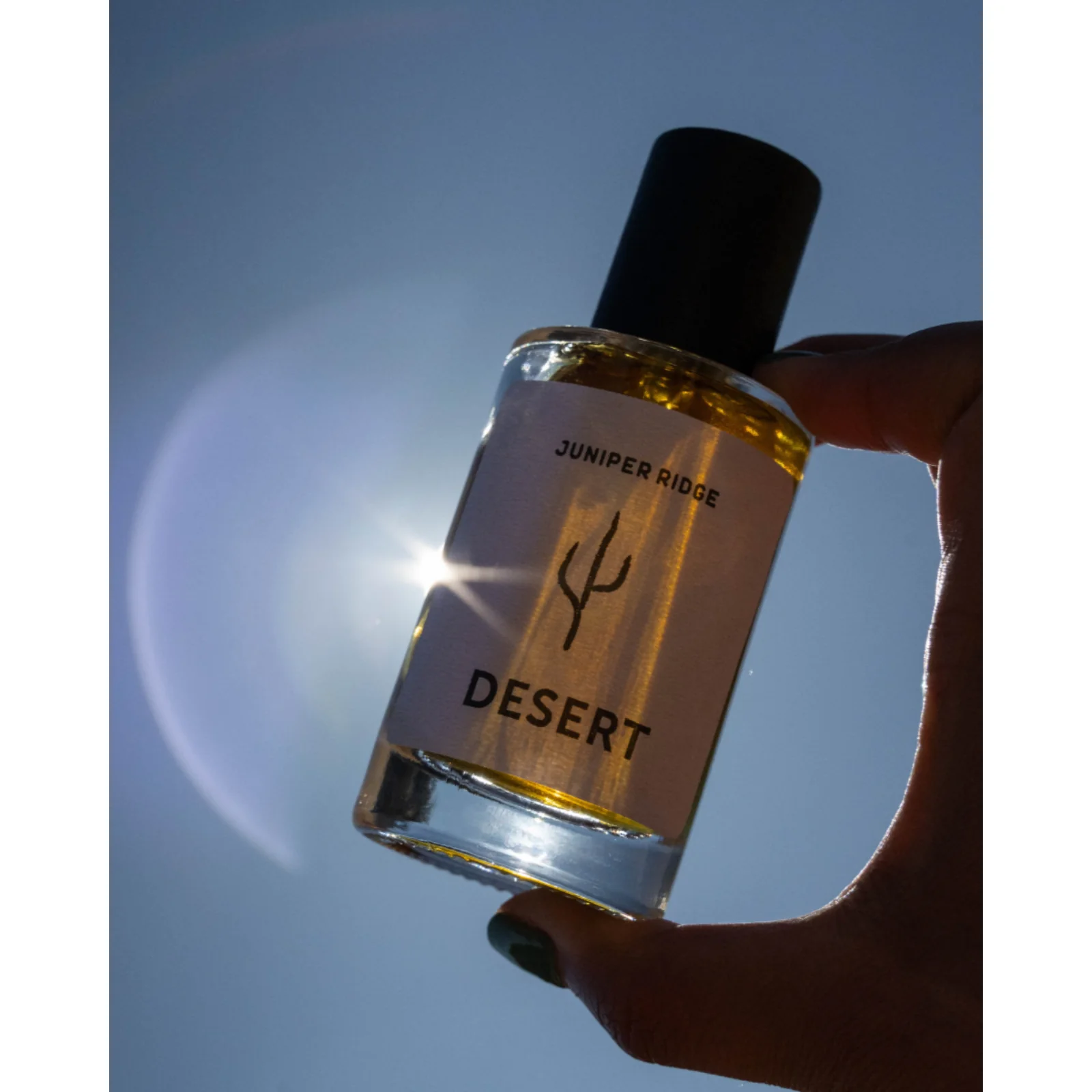 Desert Wilderness Cologne - Image 5